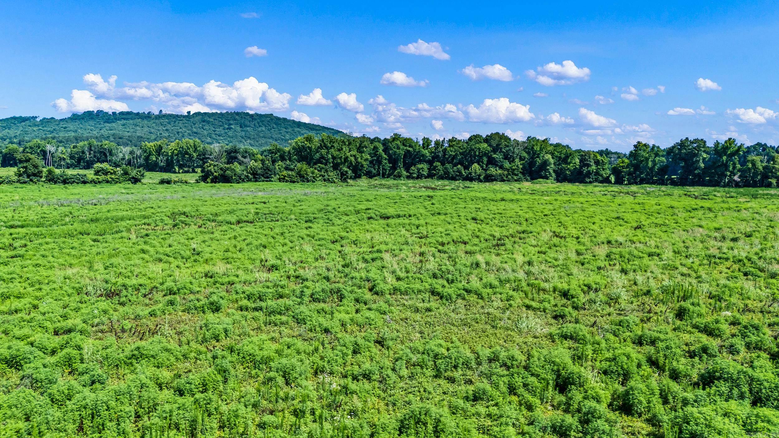 00 Hwy 247/Griffin Flat  Atkins, AR