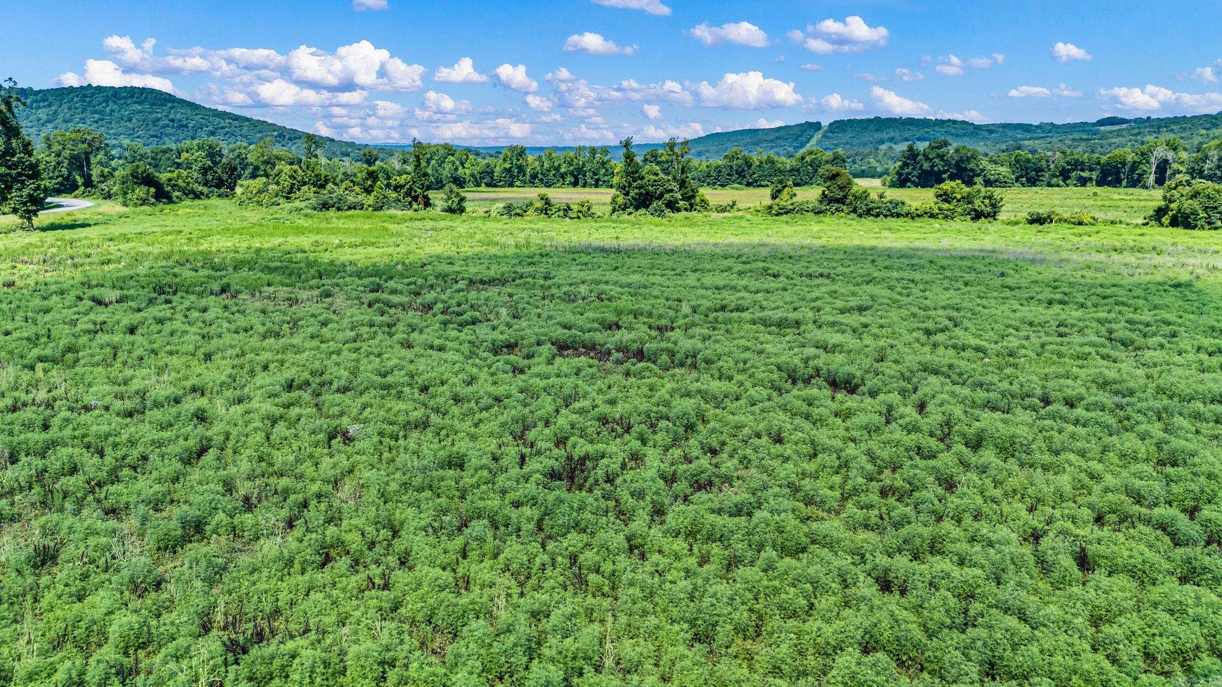 00 Hwy 247/Griffin Flat  Atkins, AR