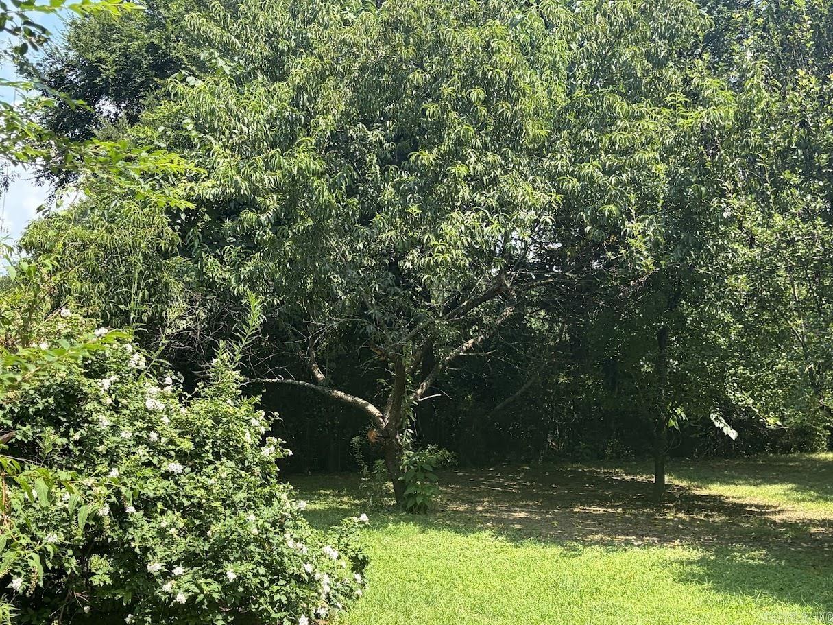 220 Polk Road 18  Cove, AR