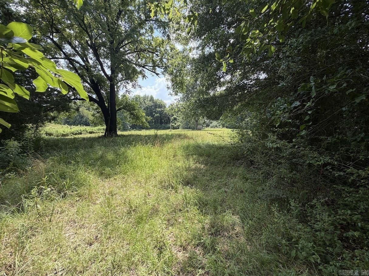 220 Polk Road 18  Cove, AR