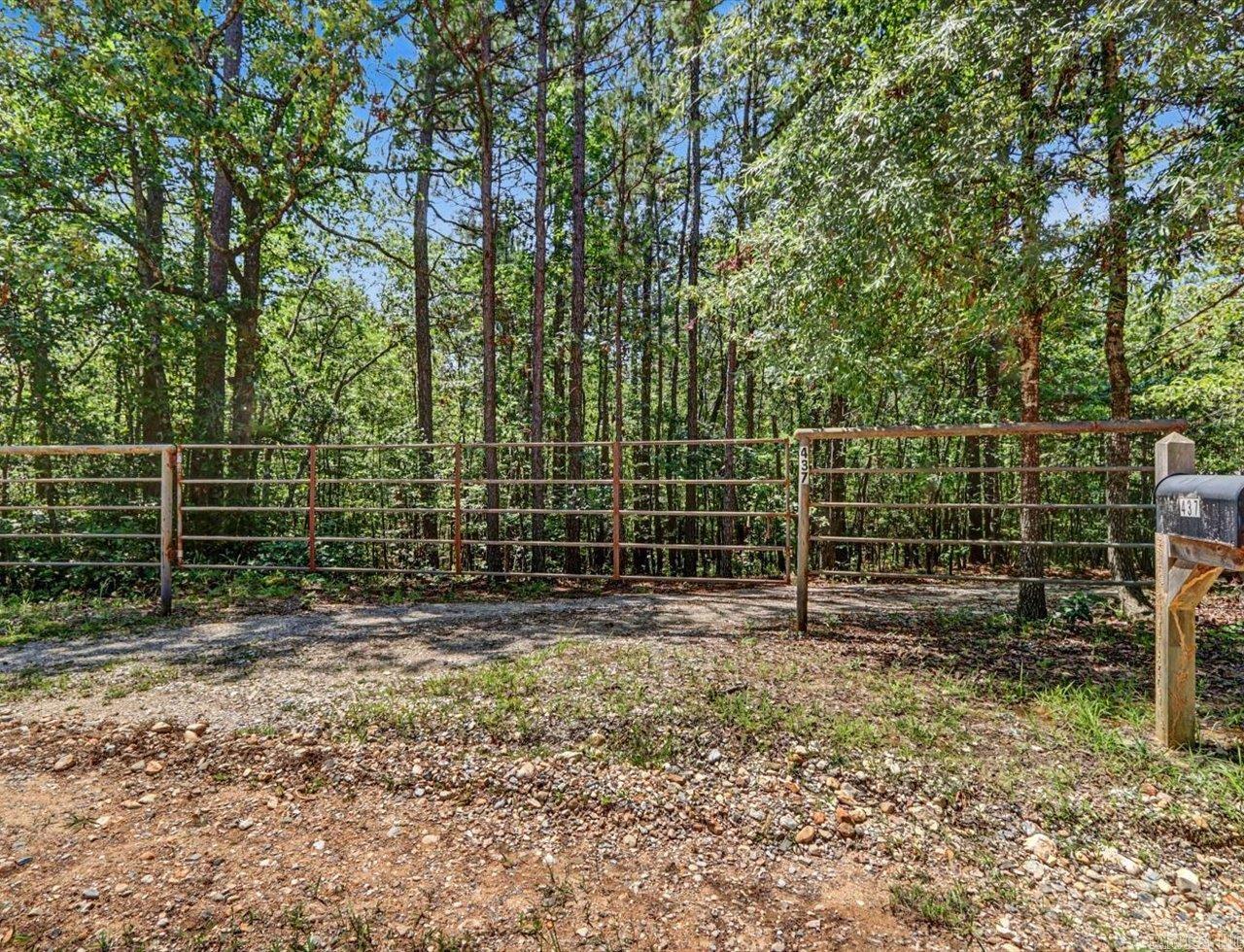 437 Massey  Amity, AR