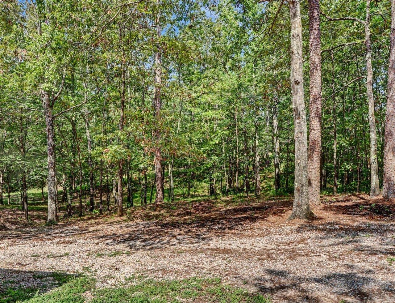 437 Massey  Amity, AR