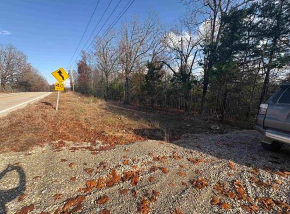 Tract B Hwy 101  Gamaliel, AR