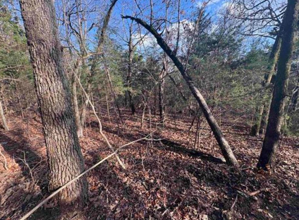 Tract B Hwy 101  Gamaliel, AR