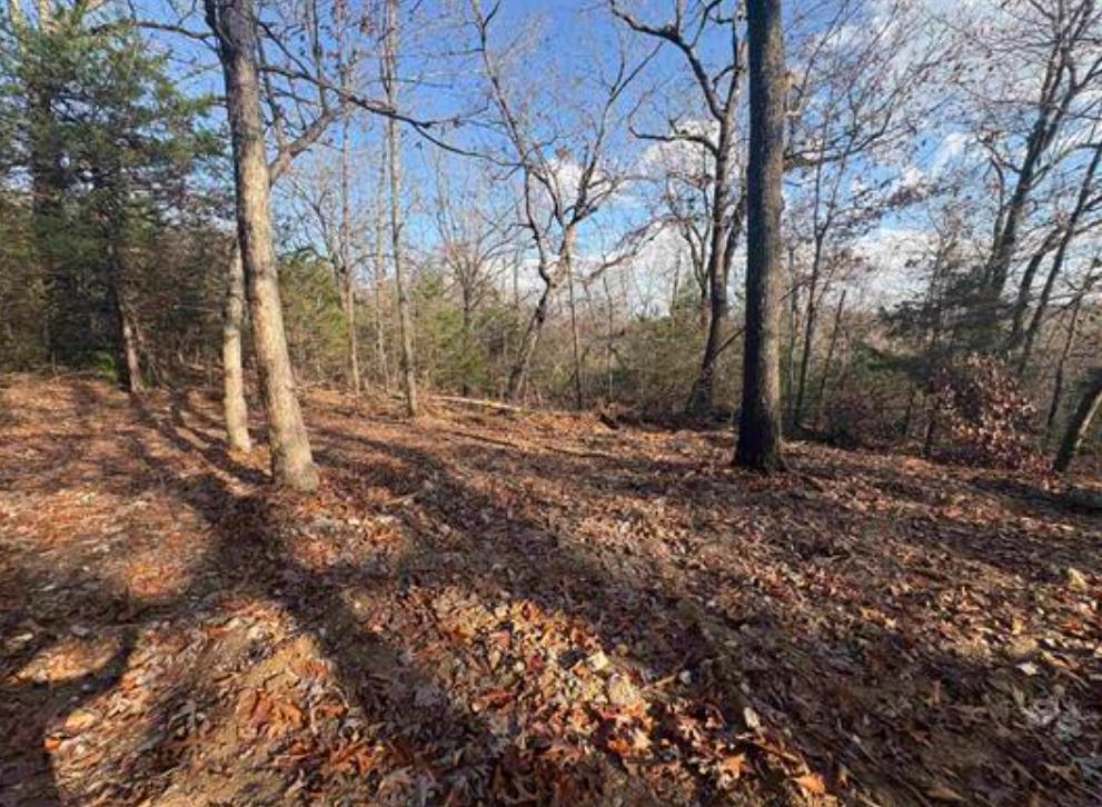 Tract B Hwy 101  Gamaliel, AR