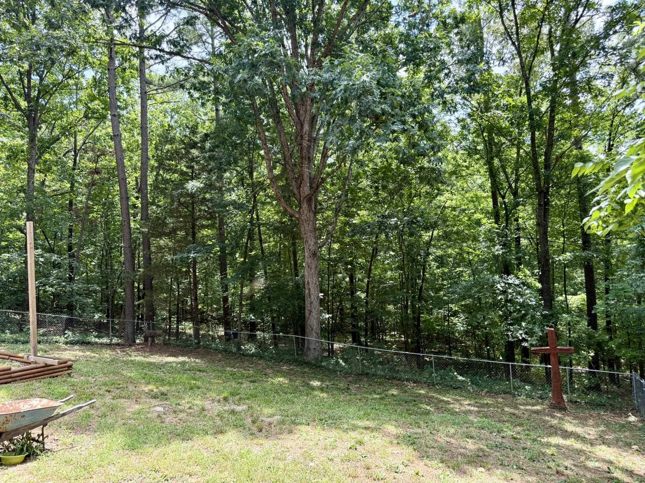 1 E Ute Circle  Cherokee Village, AR