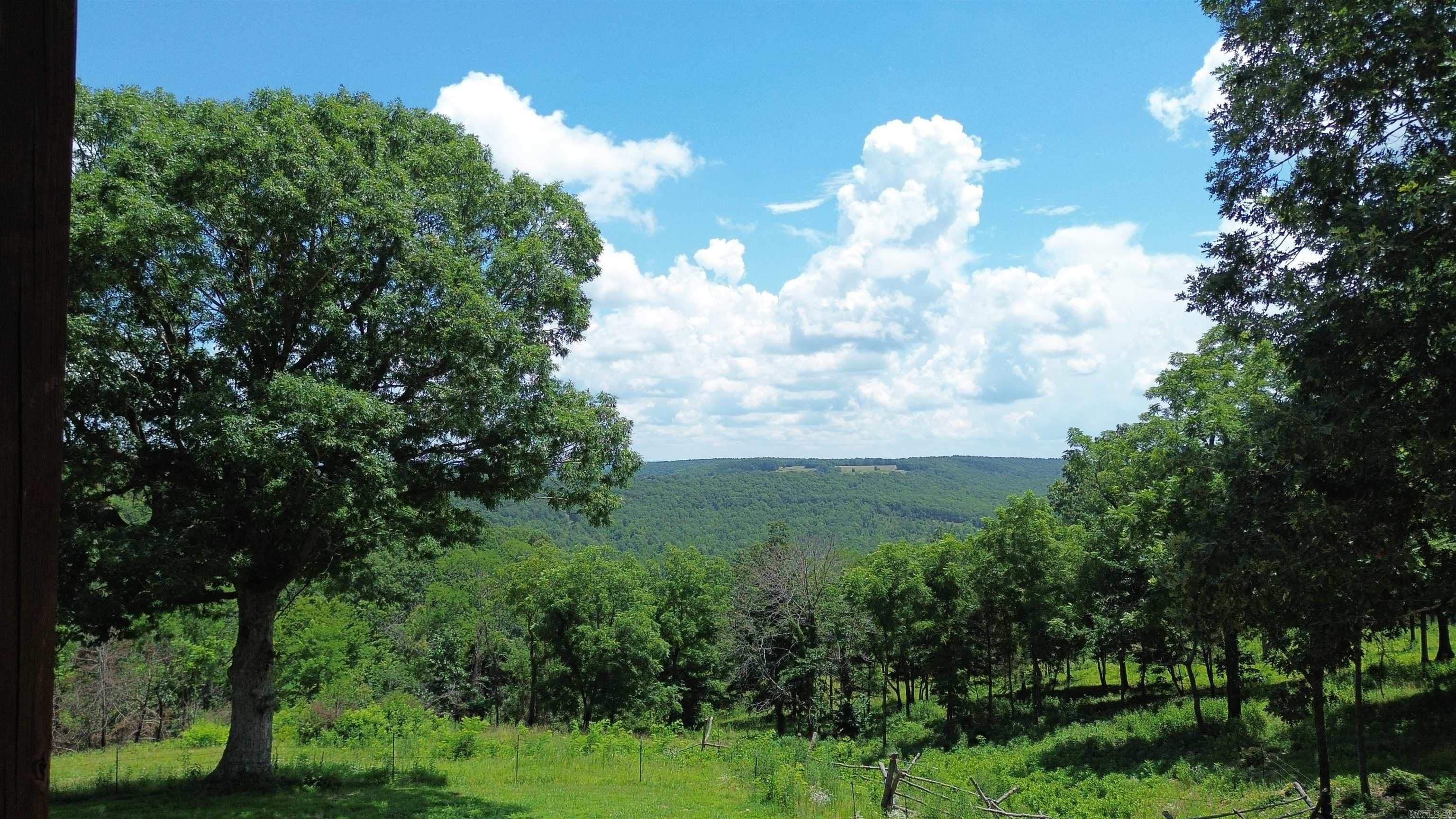 918 Bowith Hollow  Marshall, AR