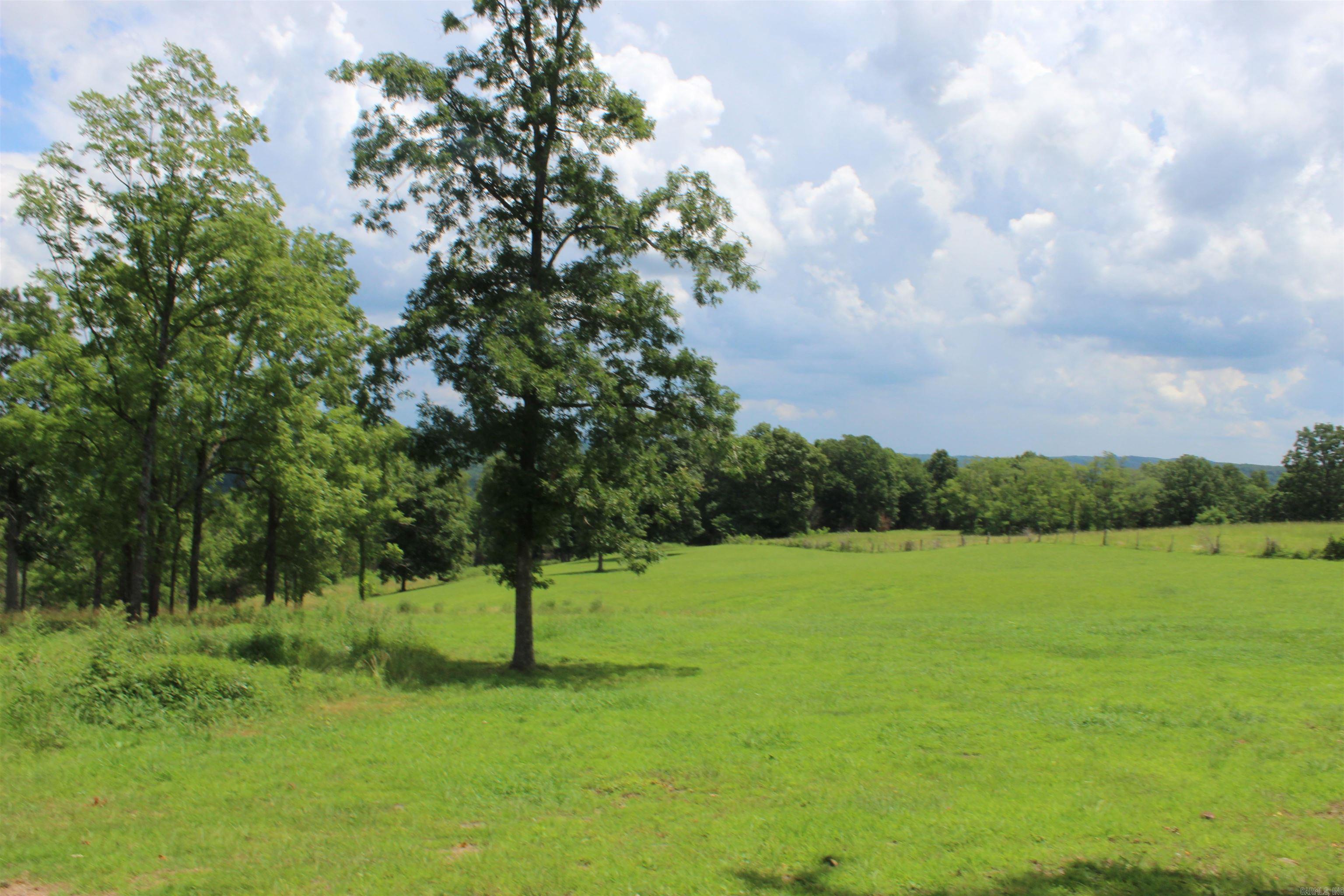 918 Bowith Hollow  Marshall, AR