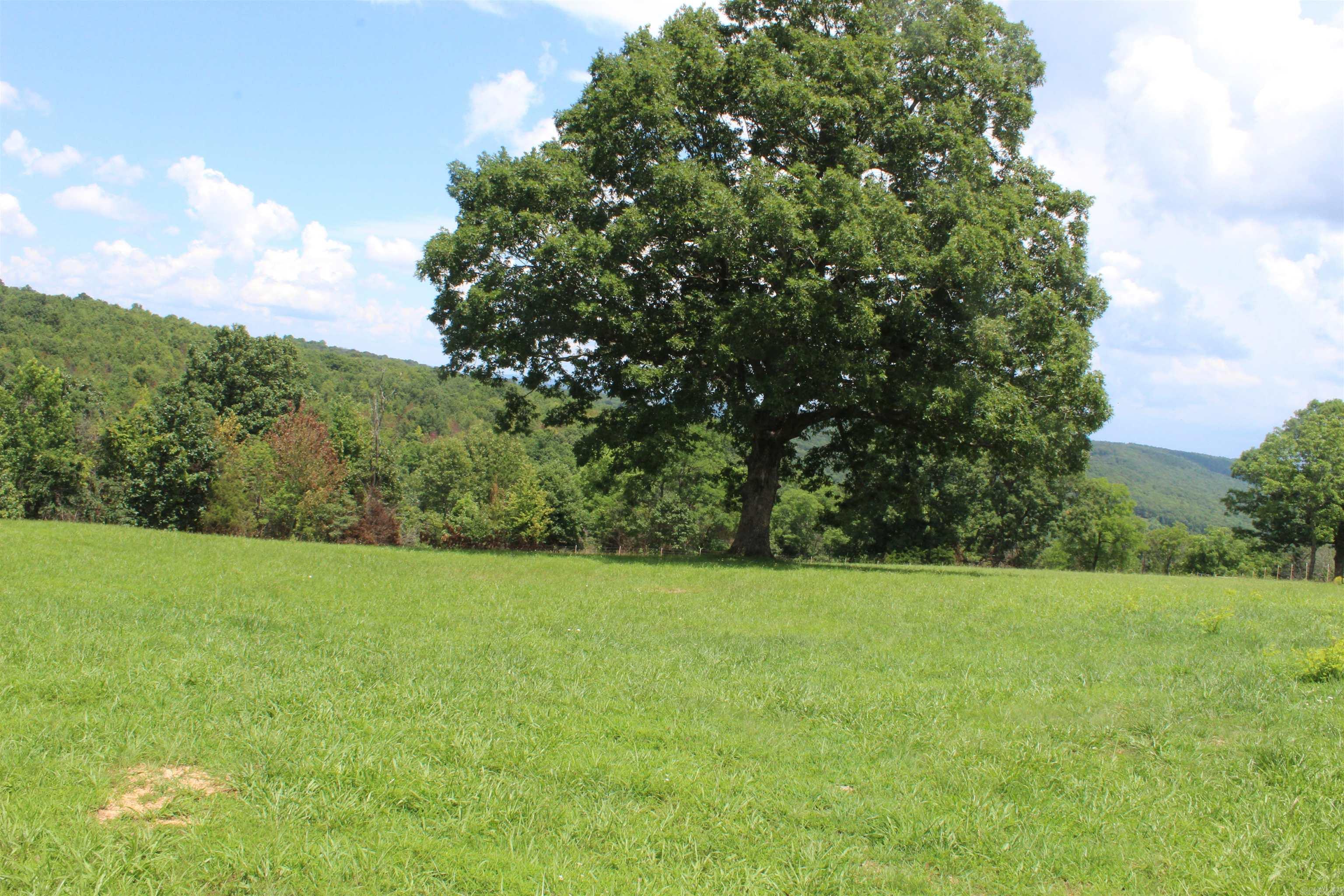 918 Bowith Hollow  Marshall, AR