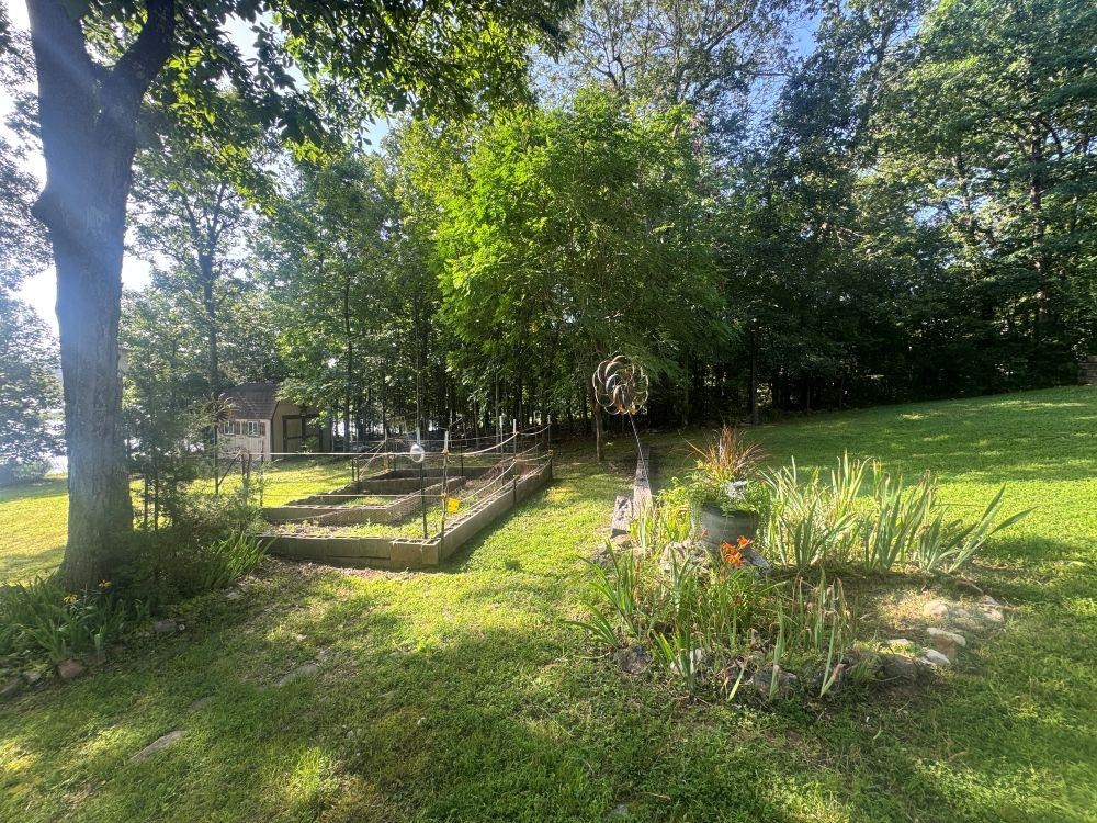 45 Chesapeake  Cherokee Village, AR