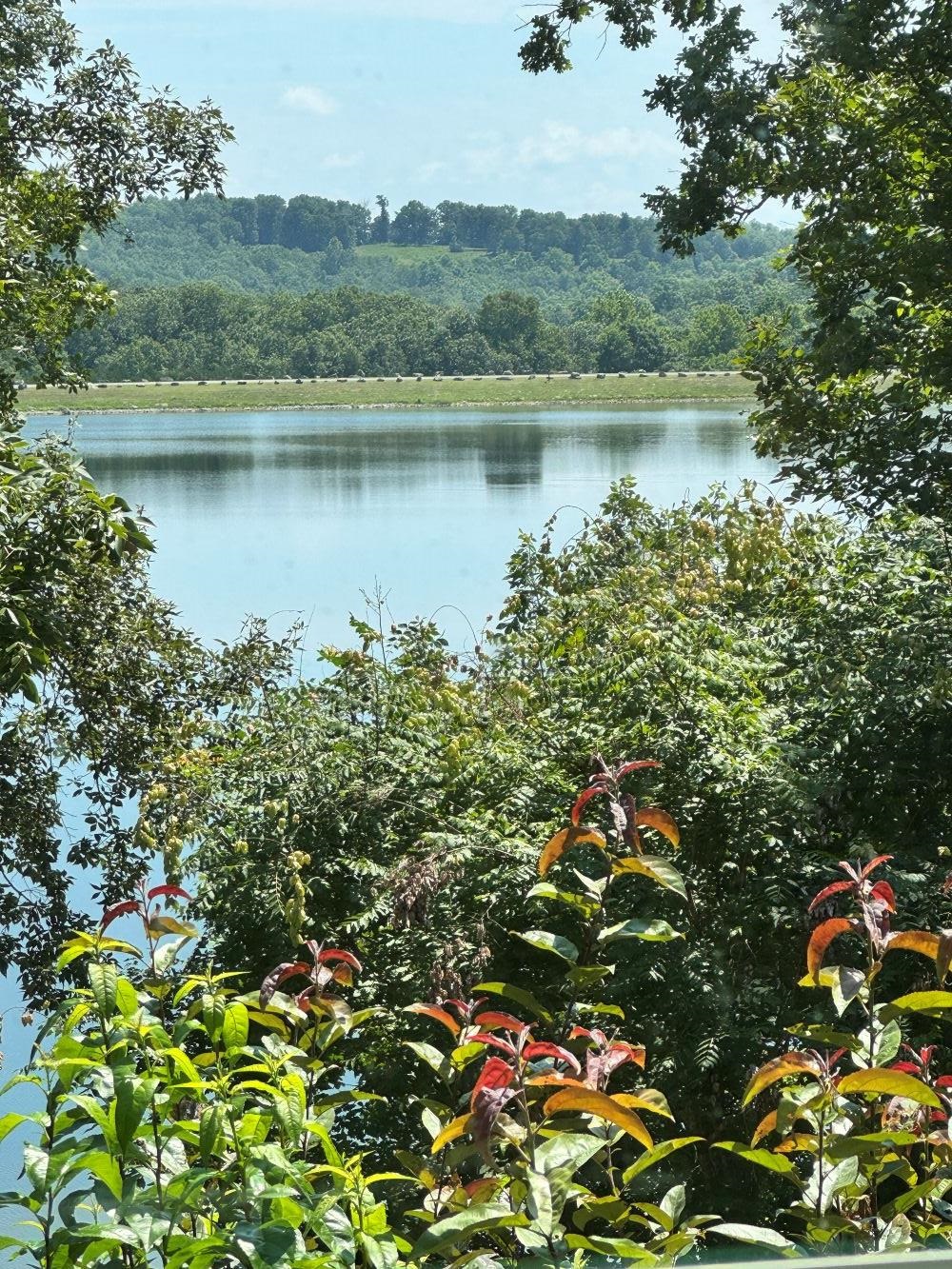 45 Chesapeake  Cherokee Village, AR