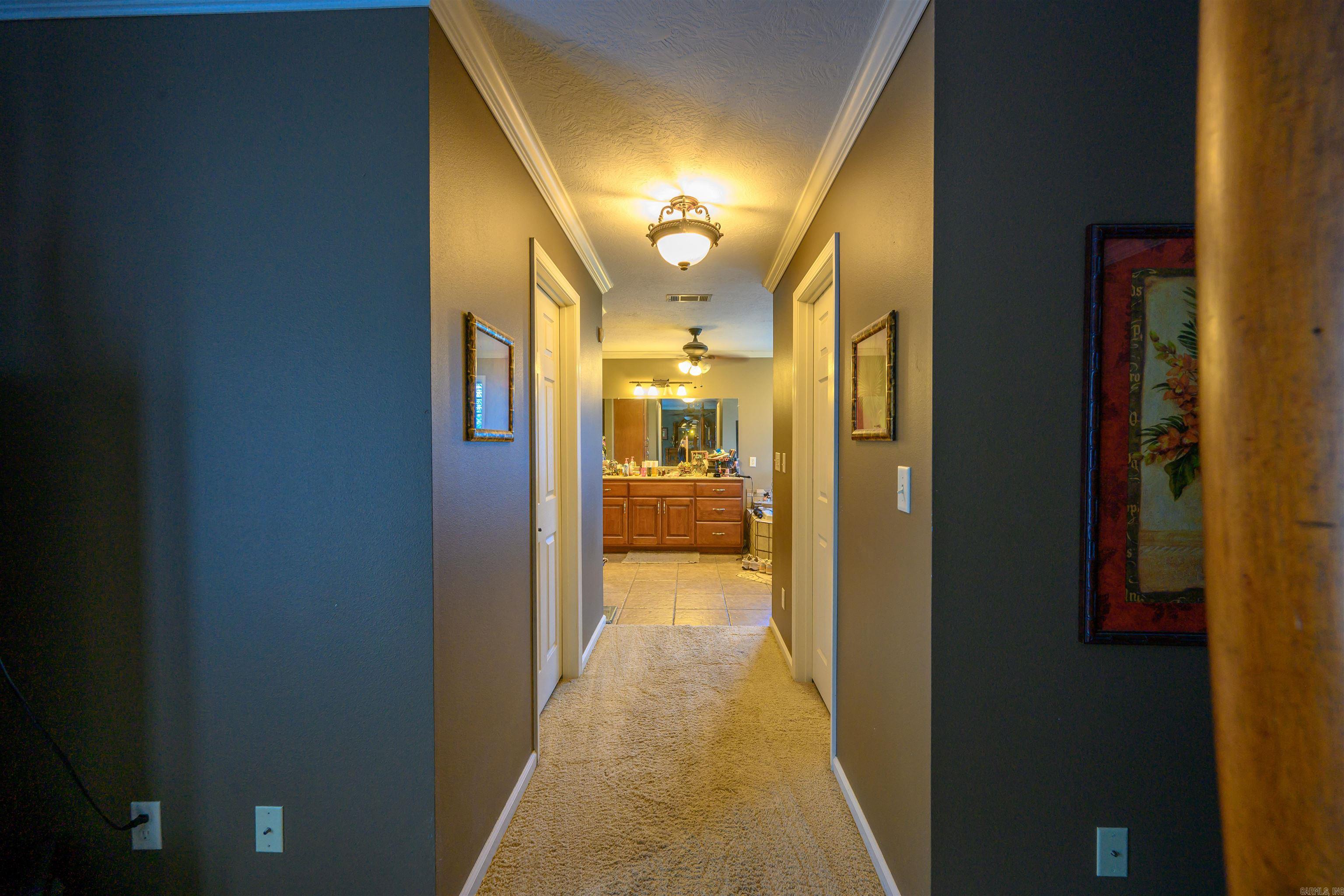 5 Jacob  Cave City, AR