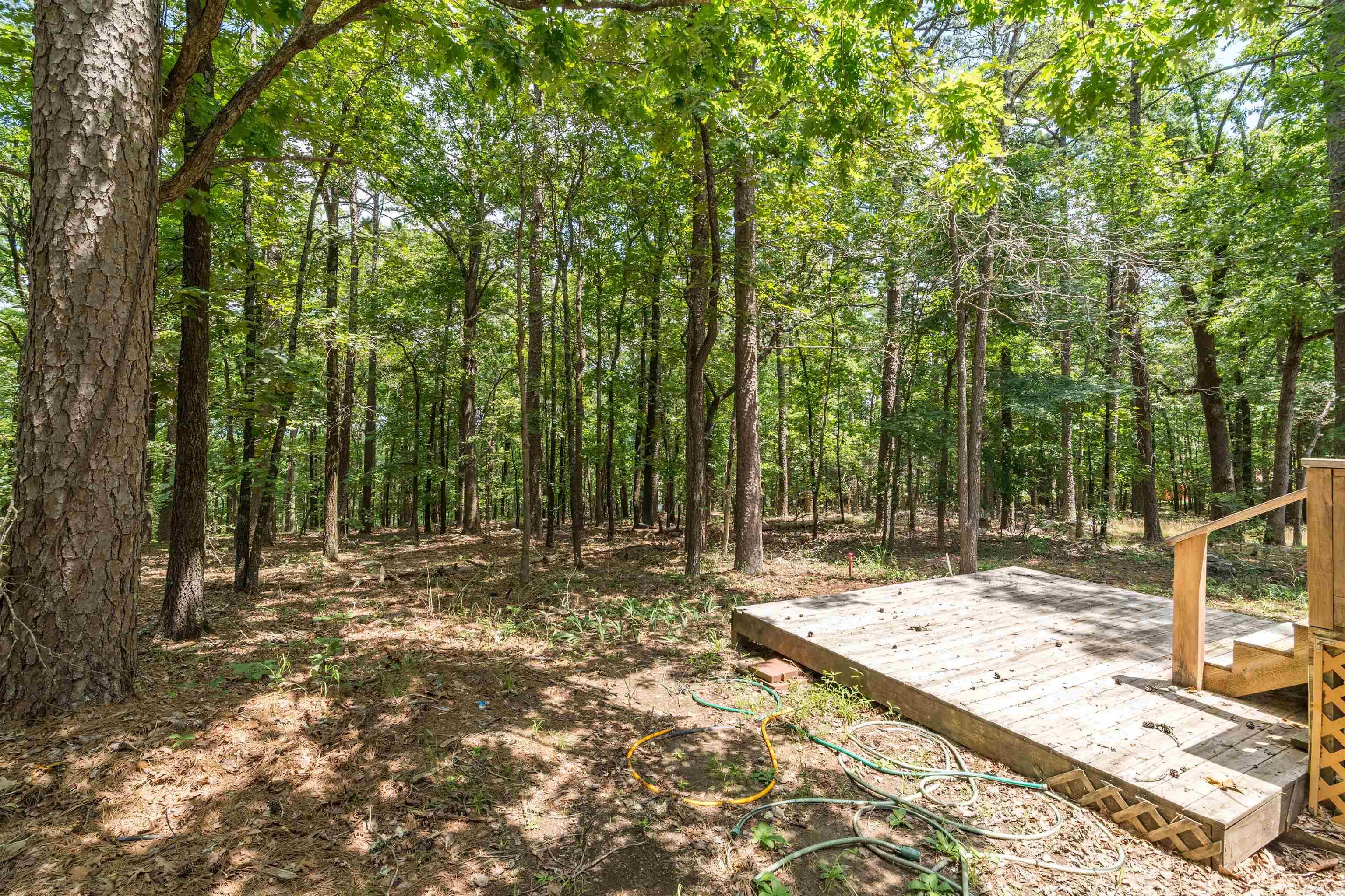 10 totana  Hot Springs Village, AR