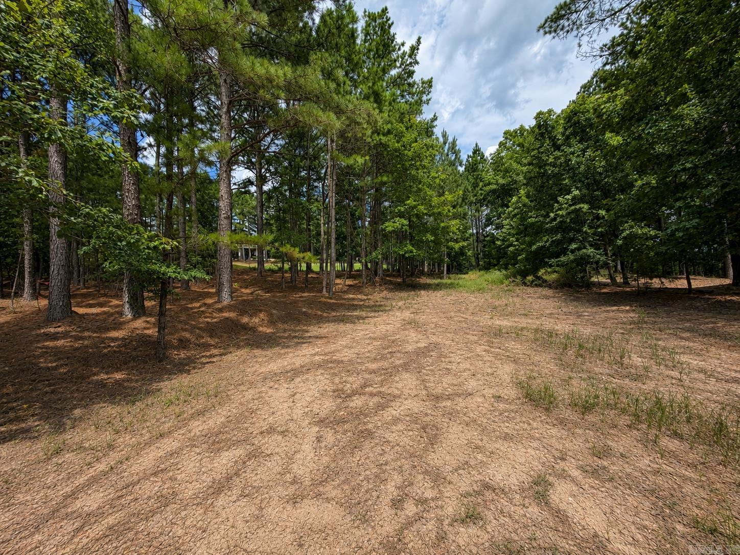 55 Alteza  Hot Springs Village, AR