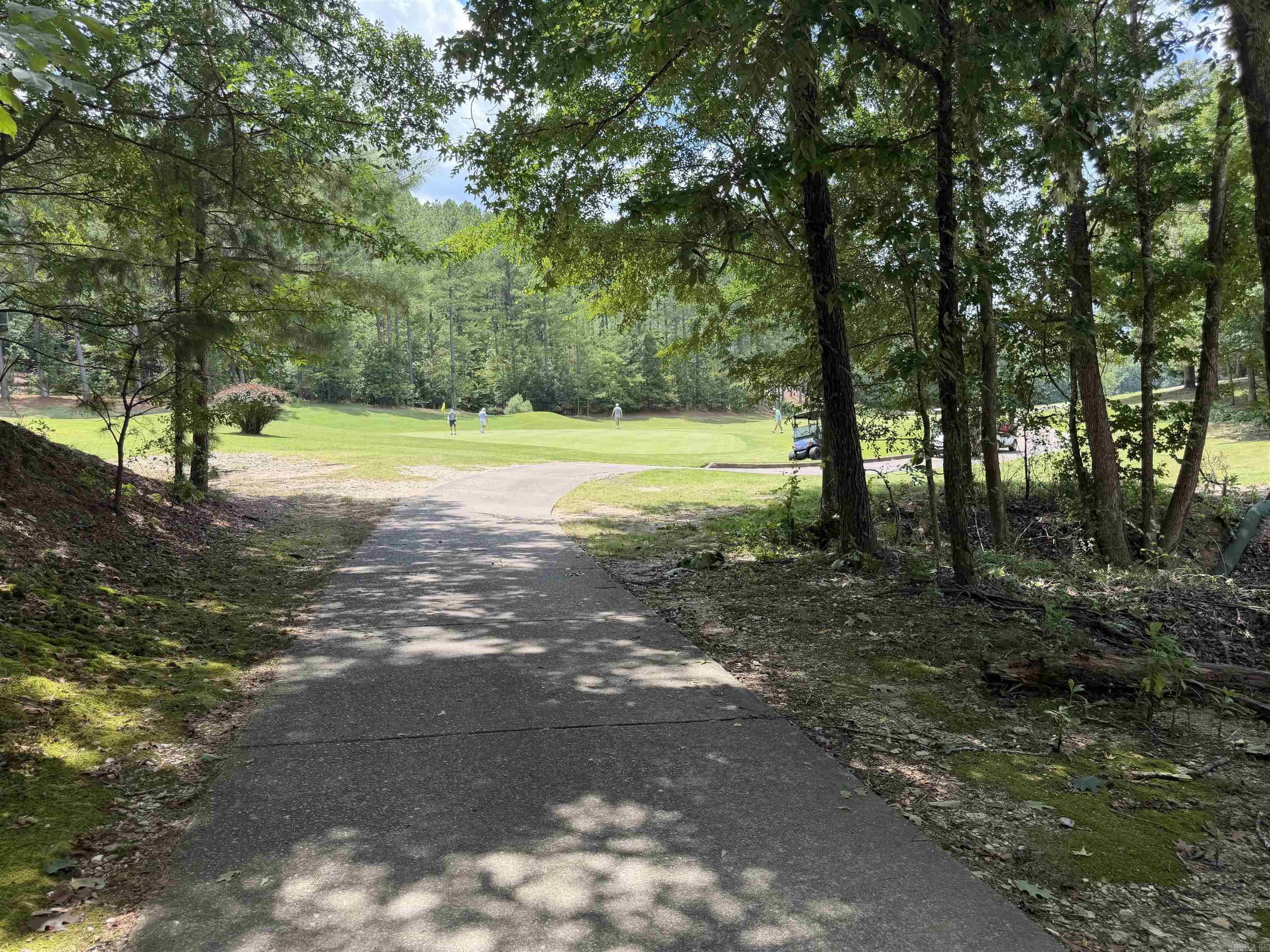 23 Rocoso Drive Hot Springs Village, AR 71909