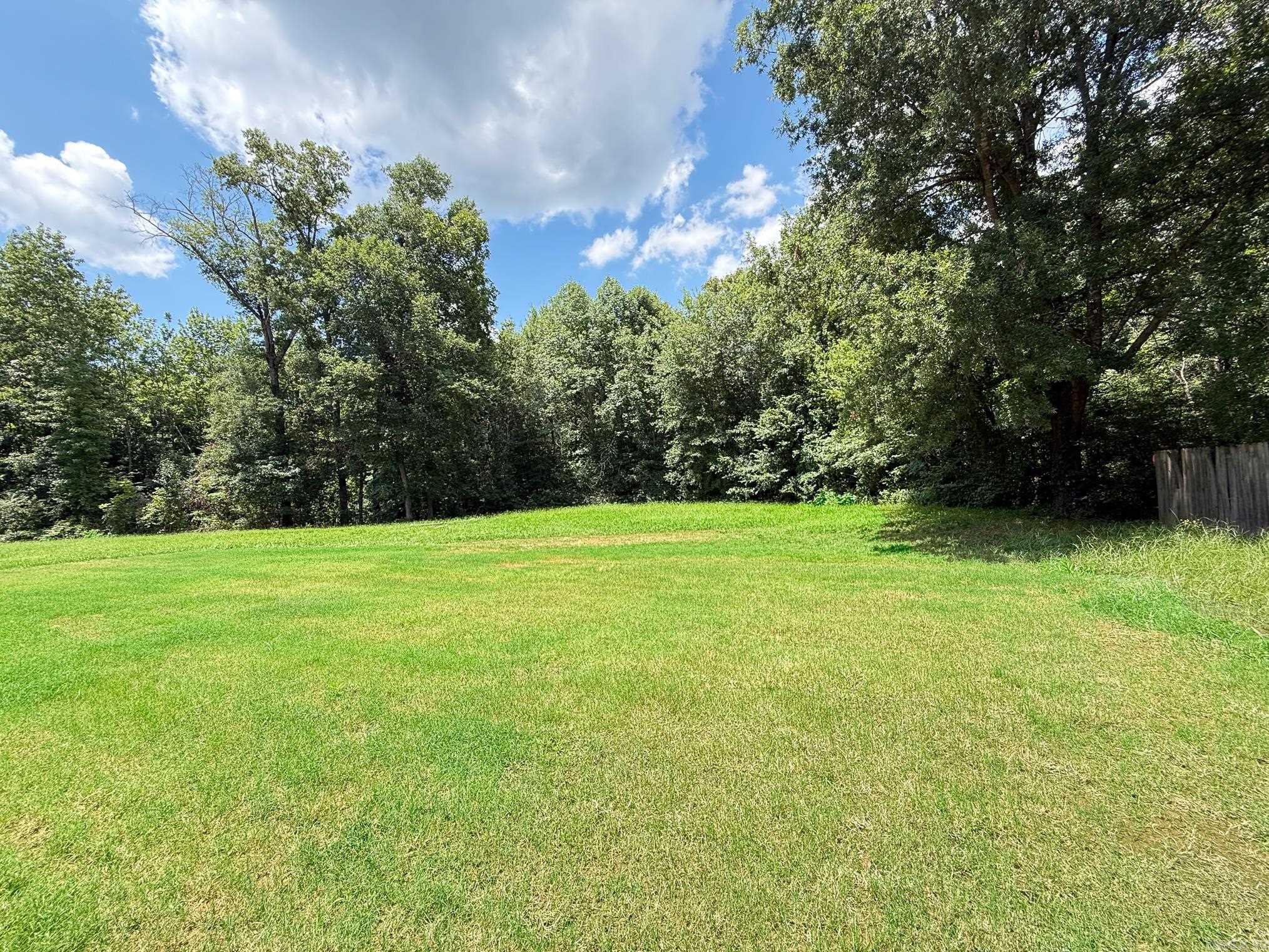 38 Shamsie  Ward, AR