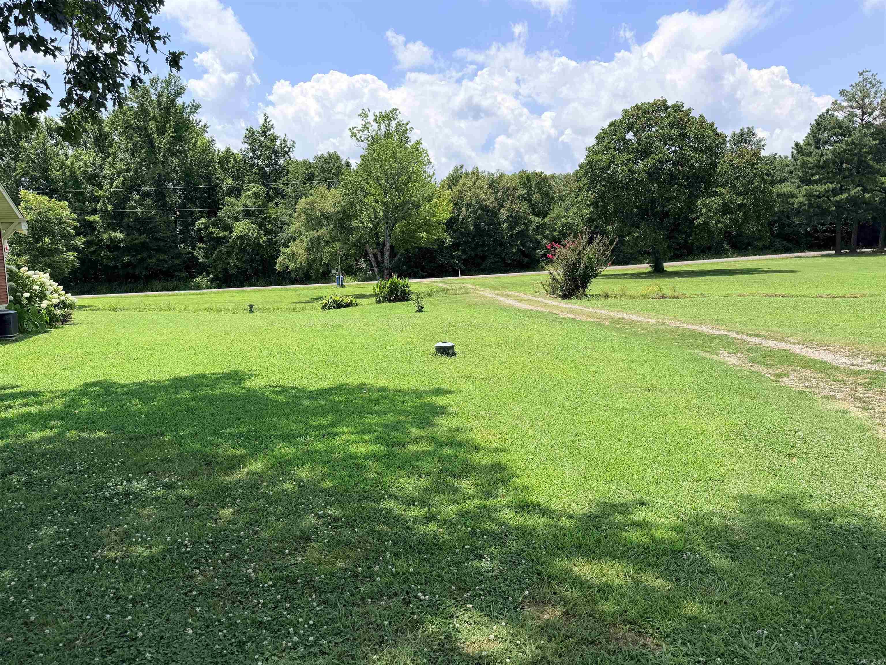 700 Strawberry  Bald Knob, AR
