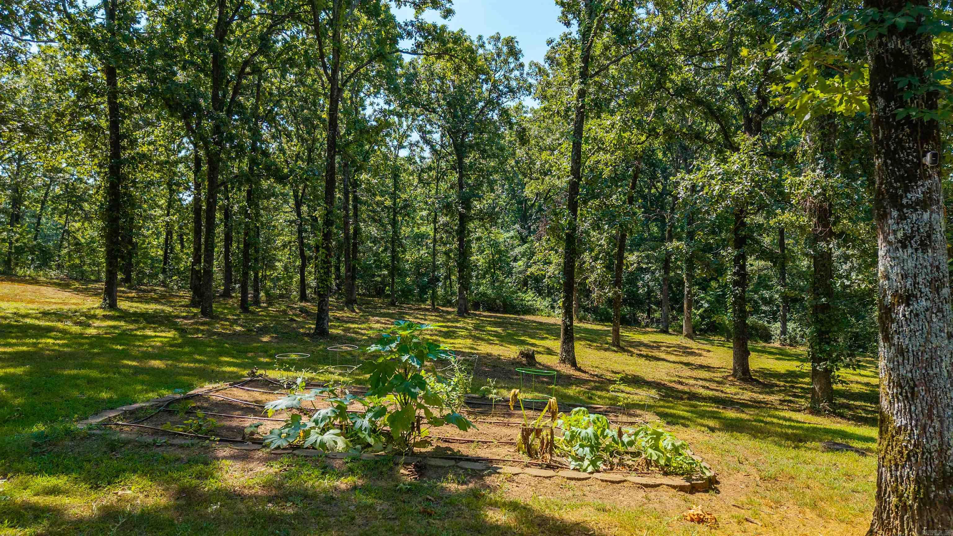 13825 Macarthur  North Little Rock, AR