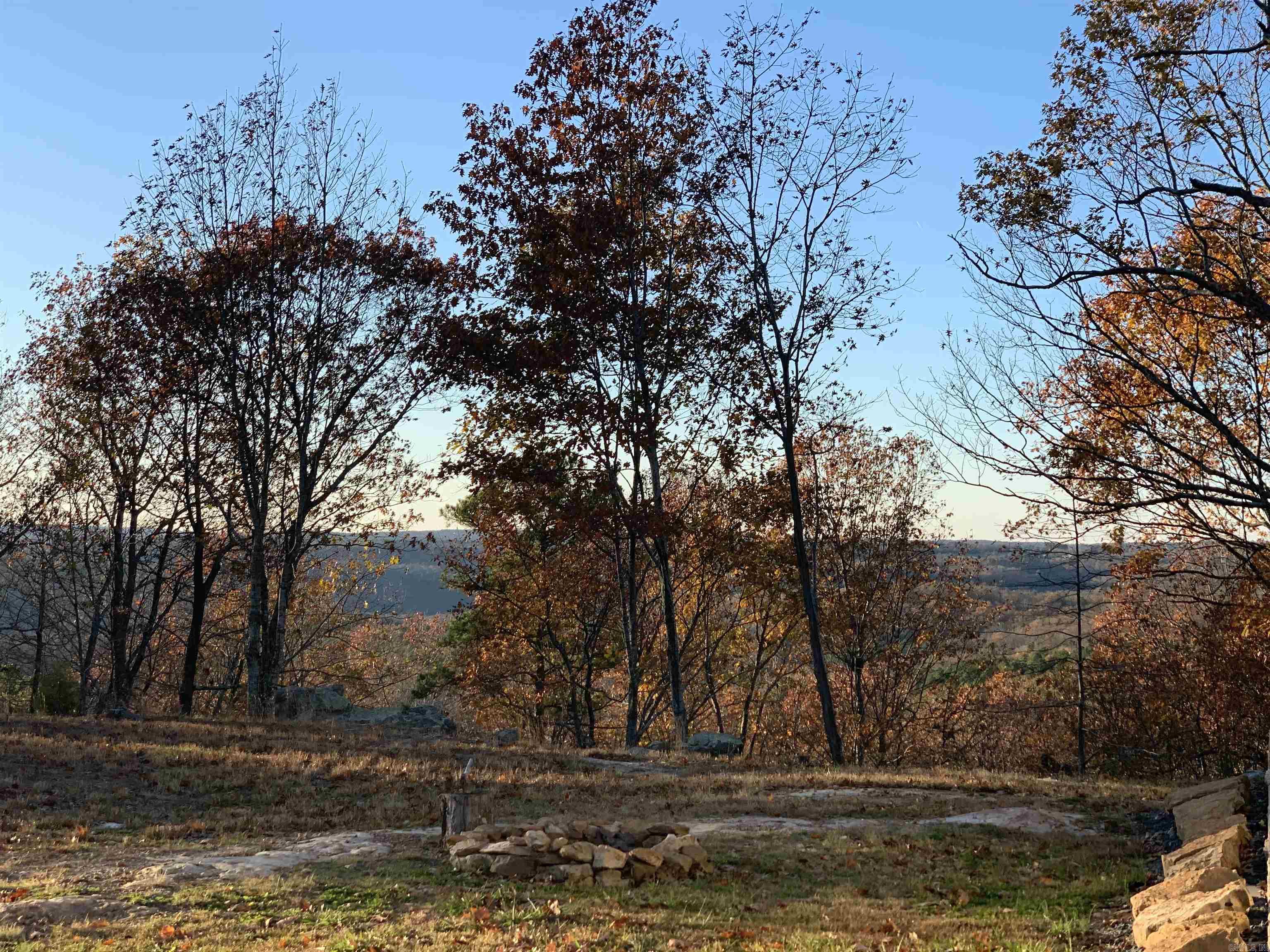 11975 US 65  Dennard, AR