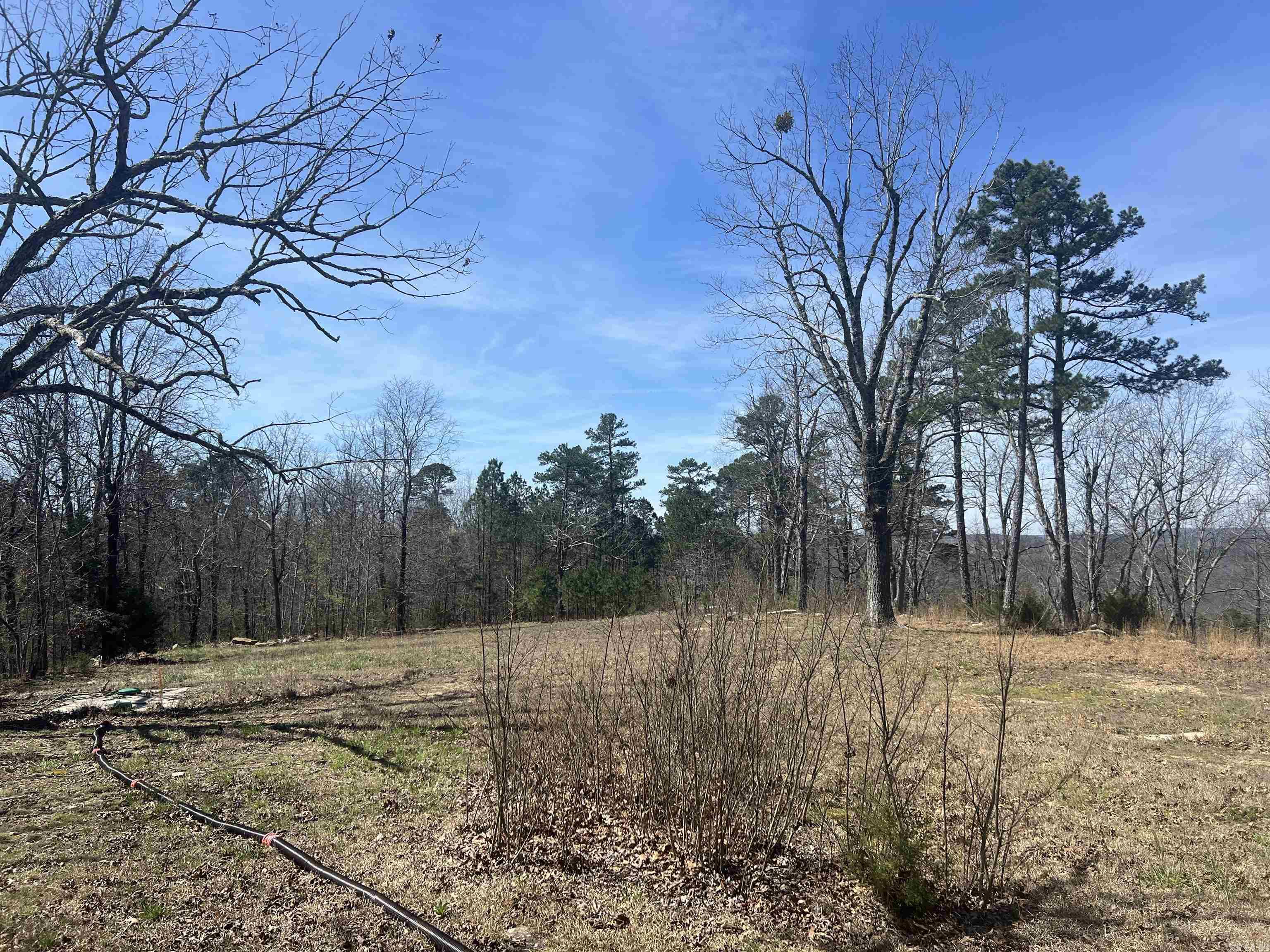 11975 US 65  Dennard, AR