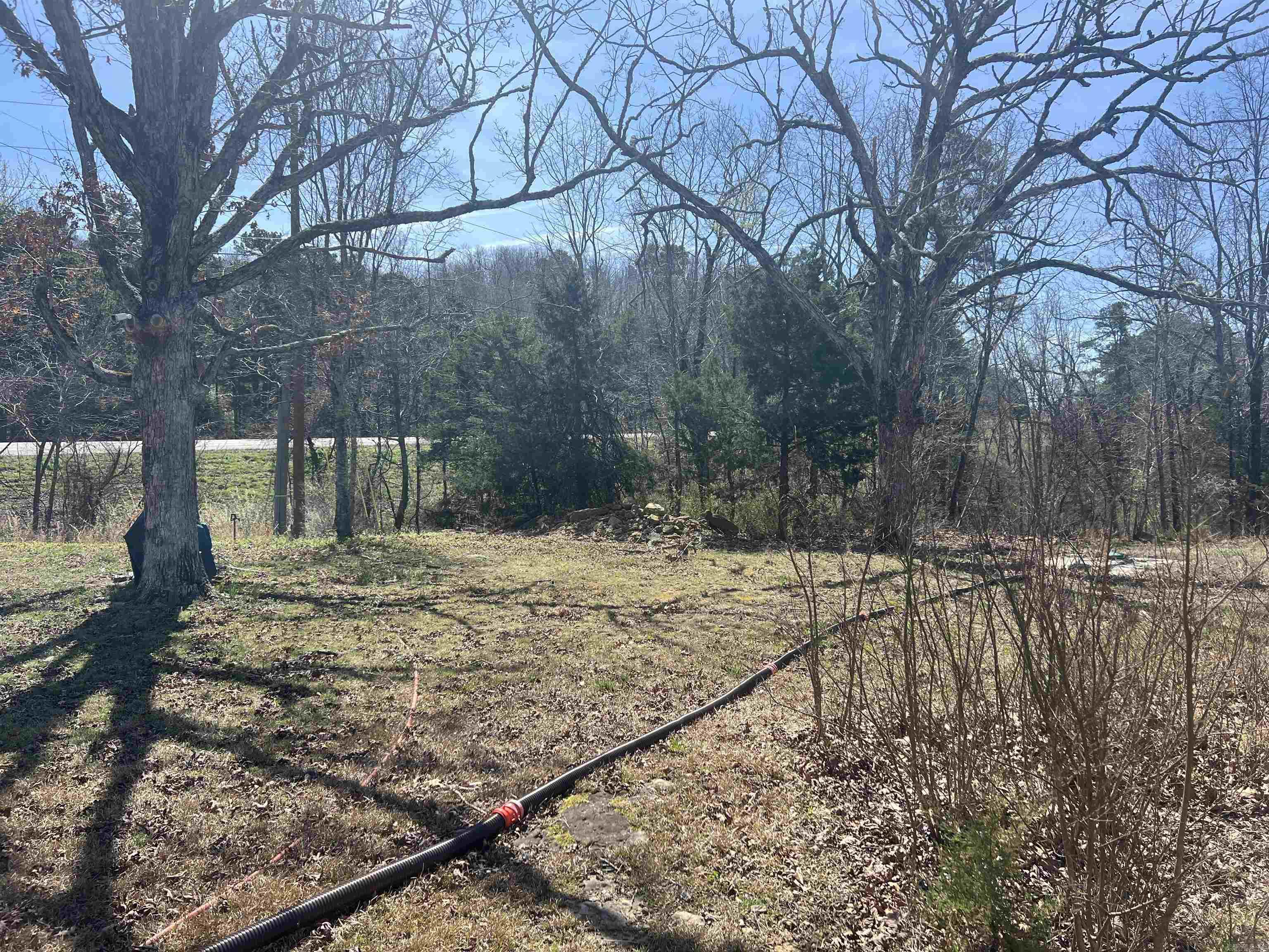 11975 US 65  Dennard, AR