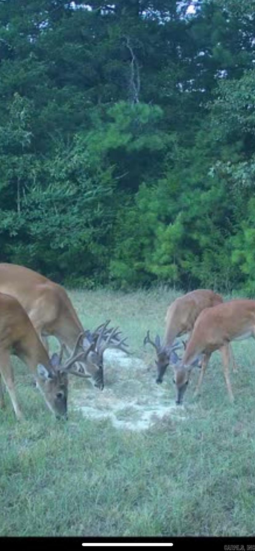 624 W Heber Springs  Heber Springs, AR