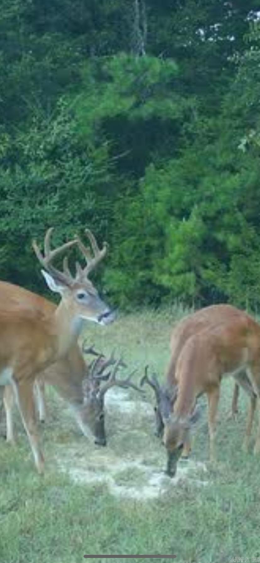 624 W Heber Springs  Heber Springs, AR