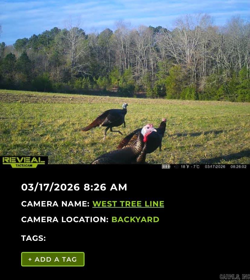 624 W Heber Springs  Heber Springs, AR