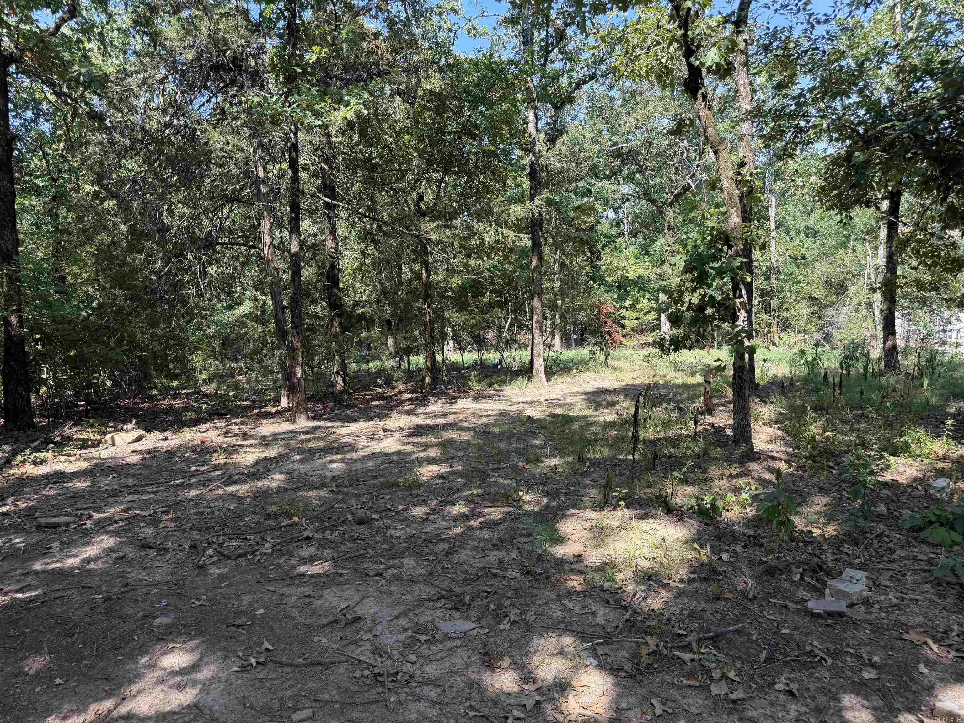 88 FULLER RD  Conway, AR
