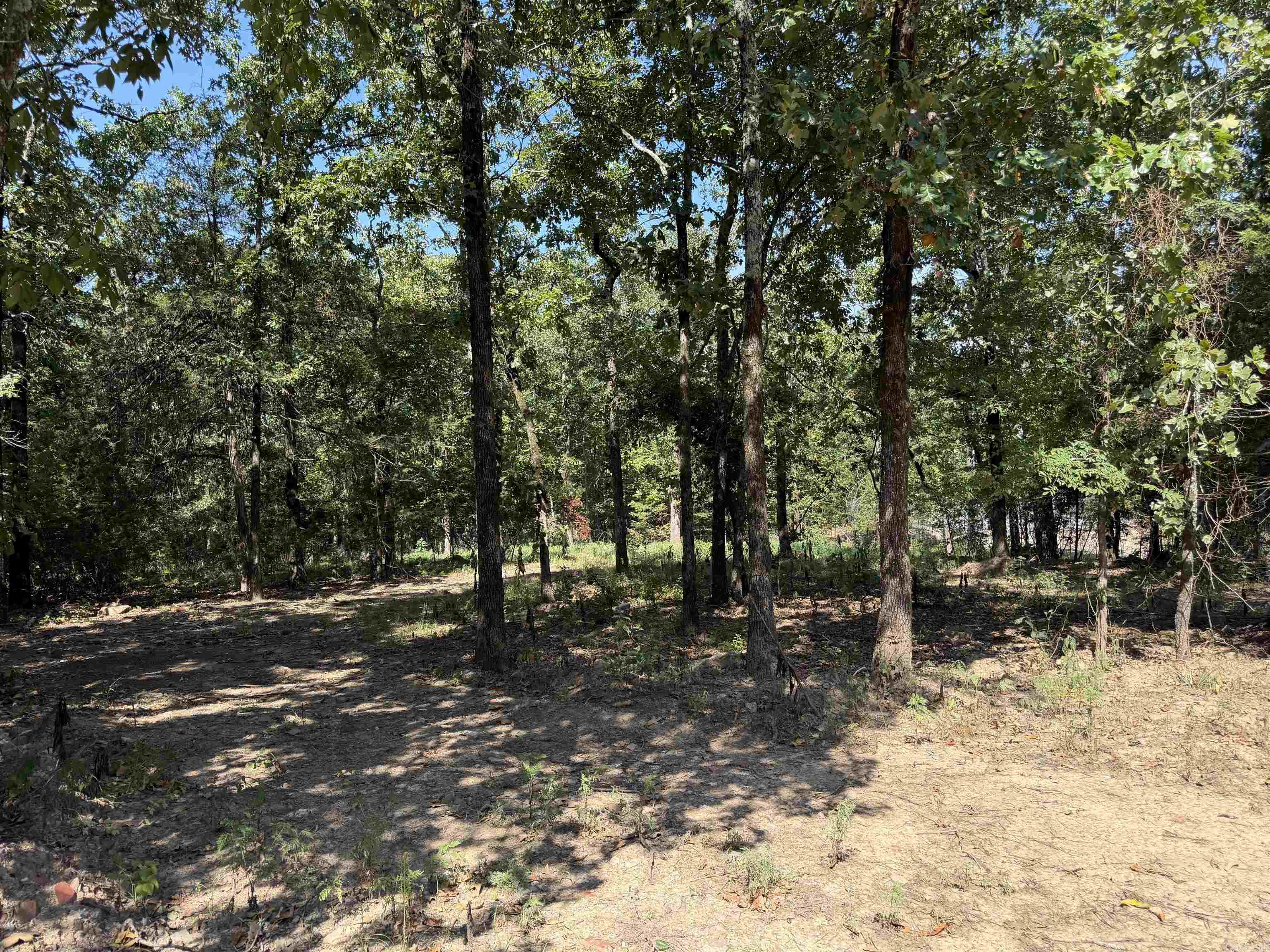 88 FULLER RD  Conway, AR