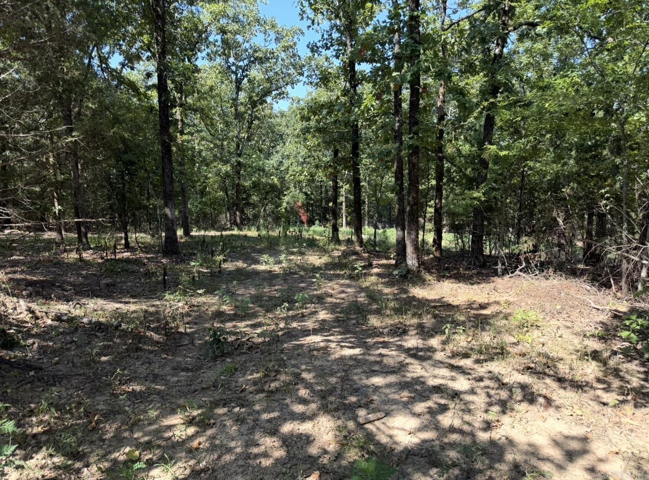 88 FULLER RD  Conway, AR