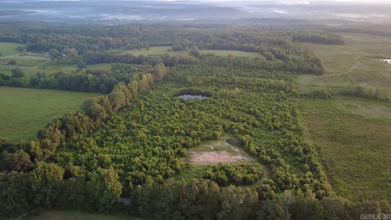 447 Polk Road 32  Cove, AR