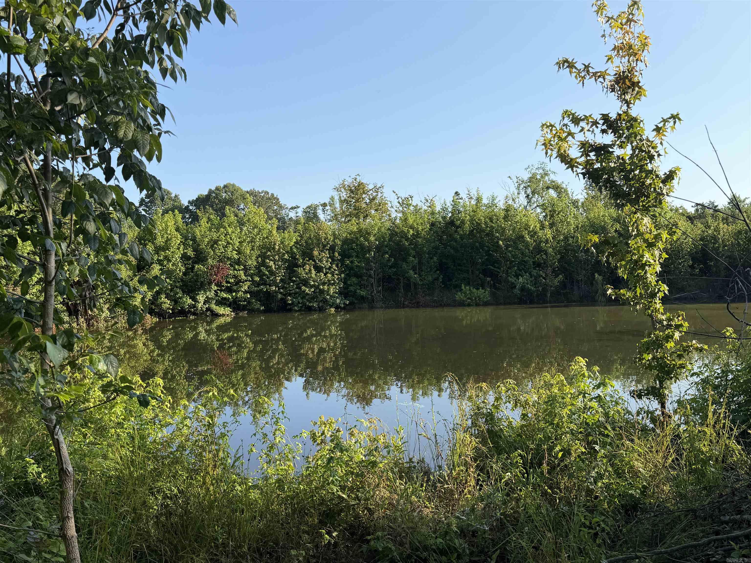 447 Polk Road 32  Cove, AR