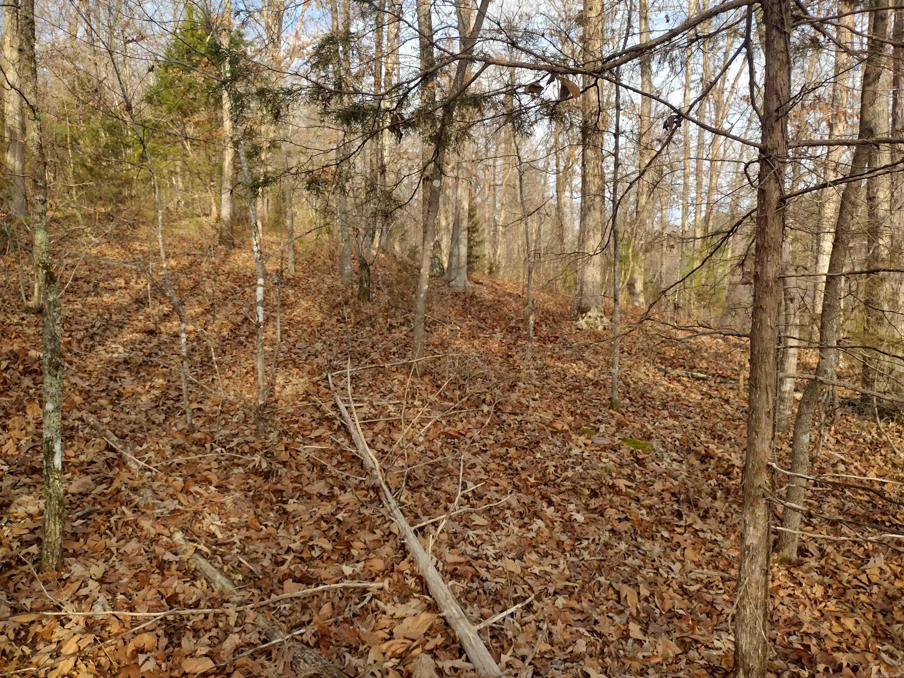 0 Geier RD  Mountain View, AR