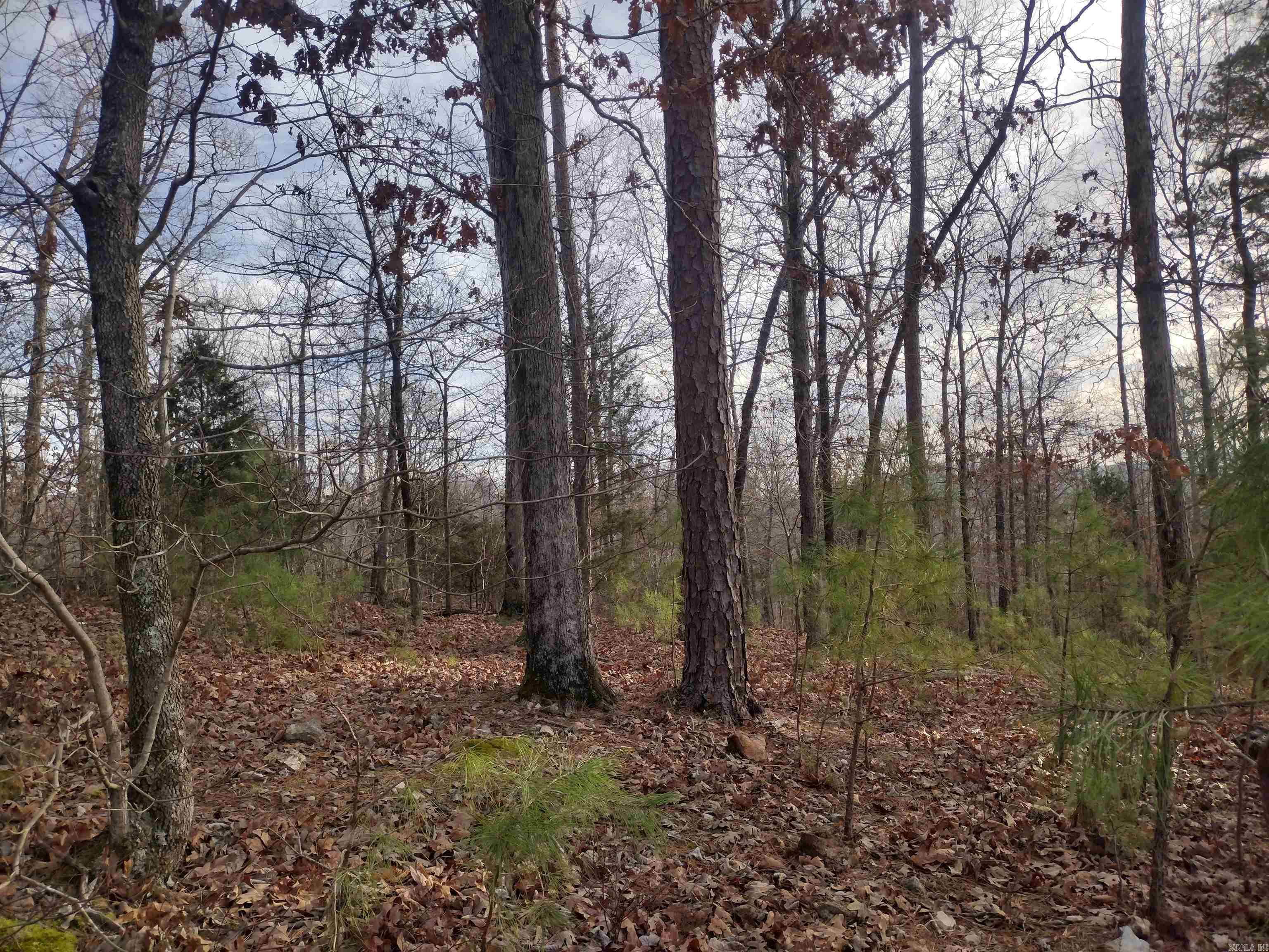 0 Geier RD  Mountain View, AR