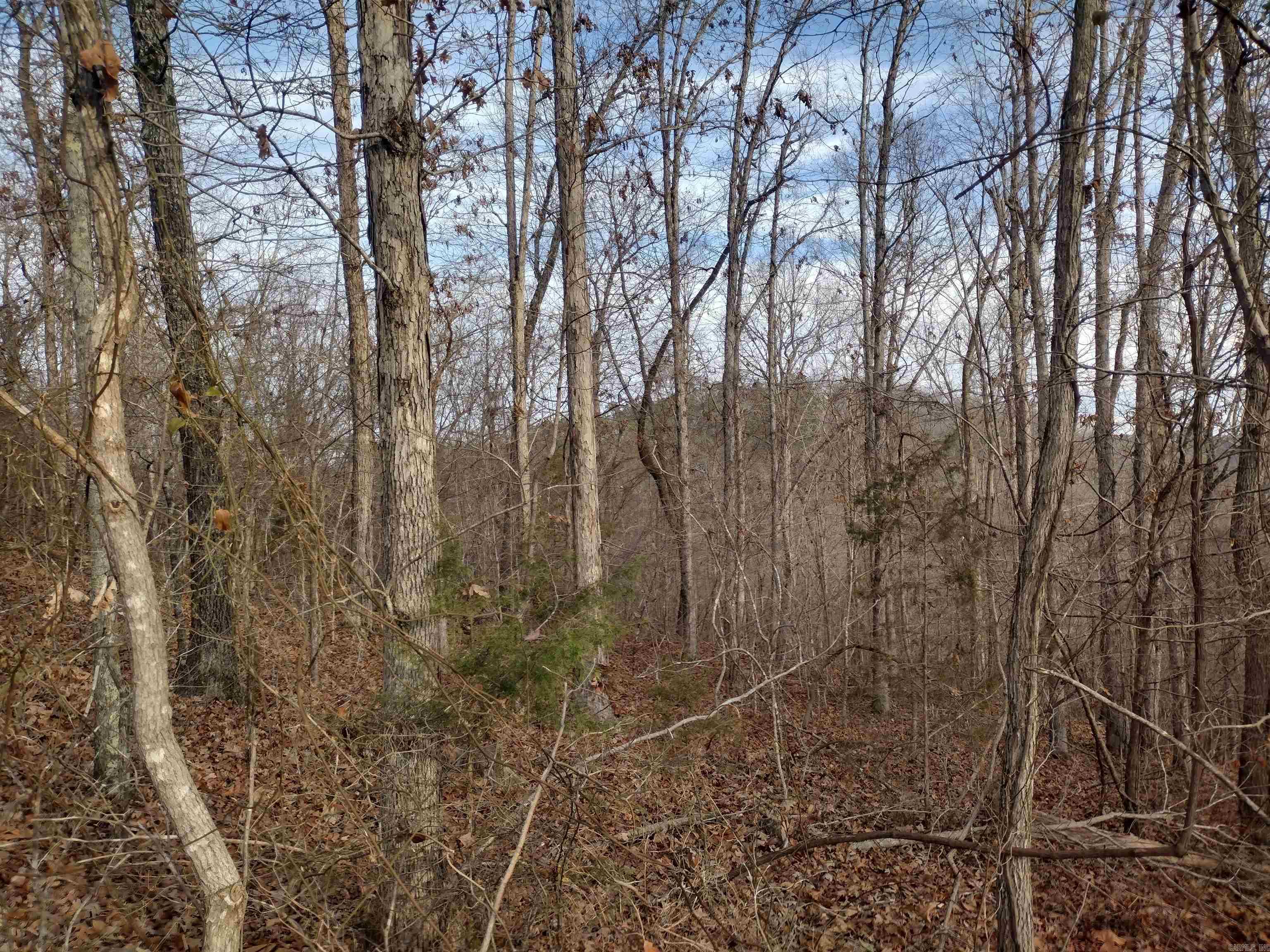 0 Geier RD  Mountain View, AR