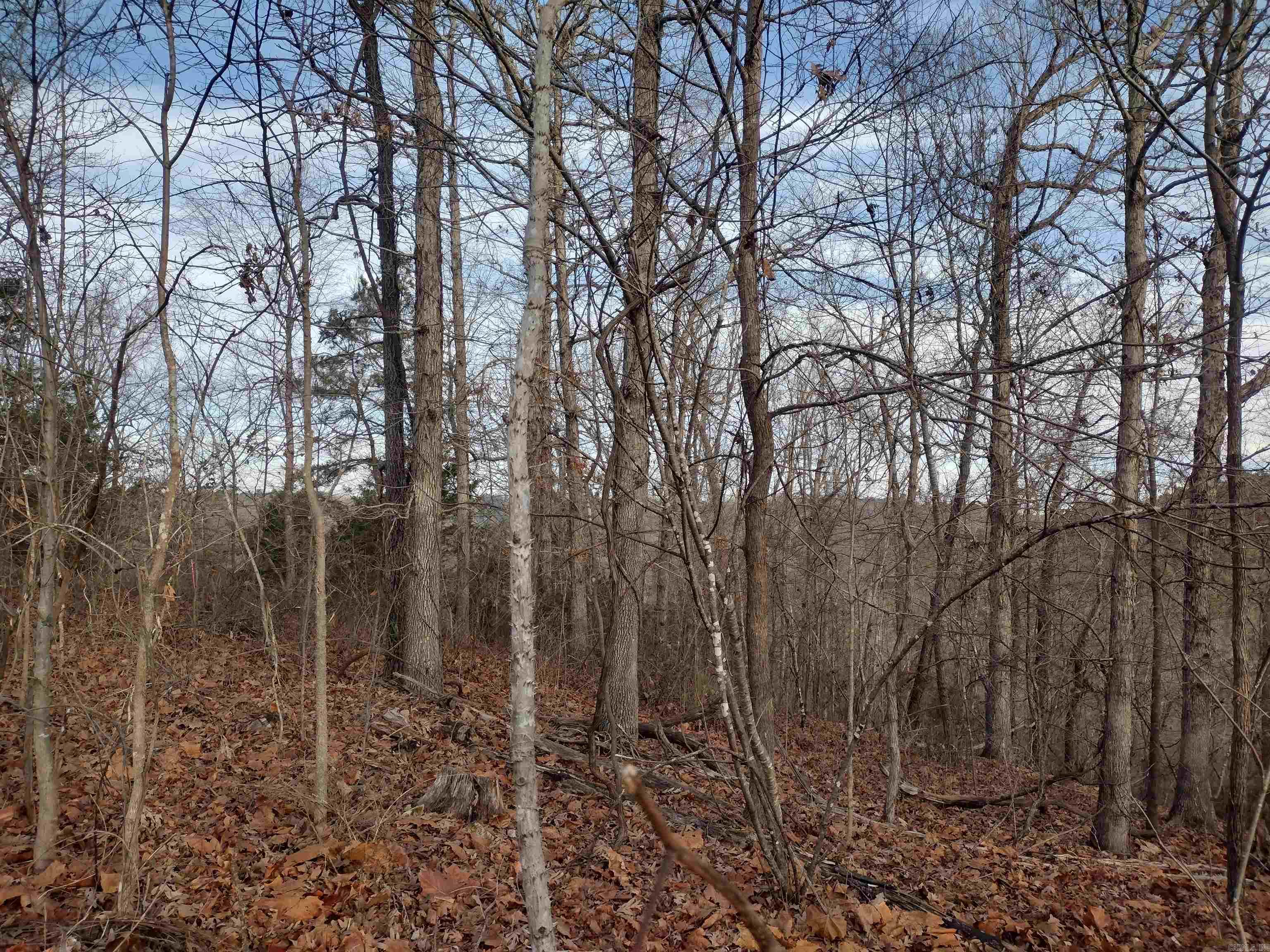 0 Geier RD  Mountain View, AR