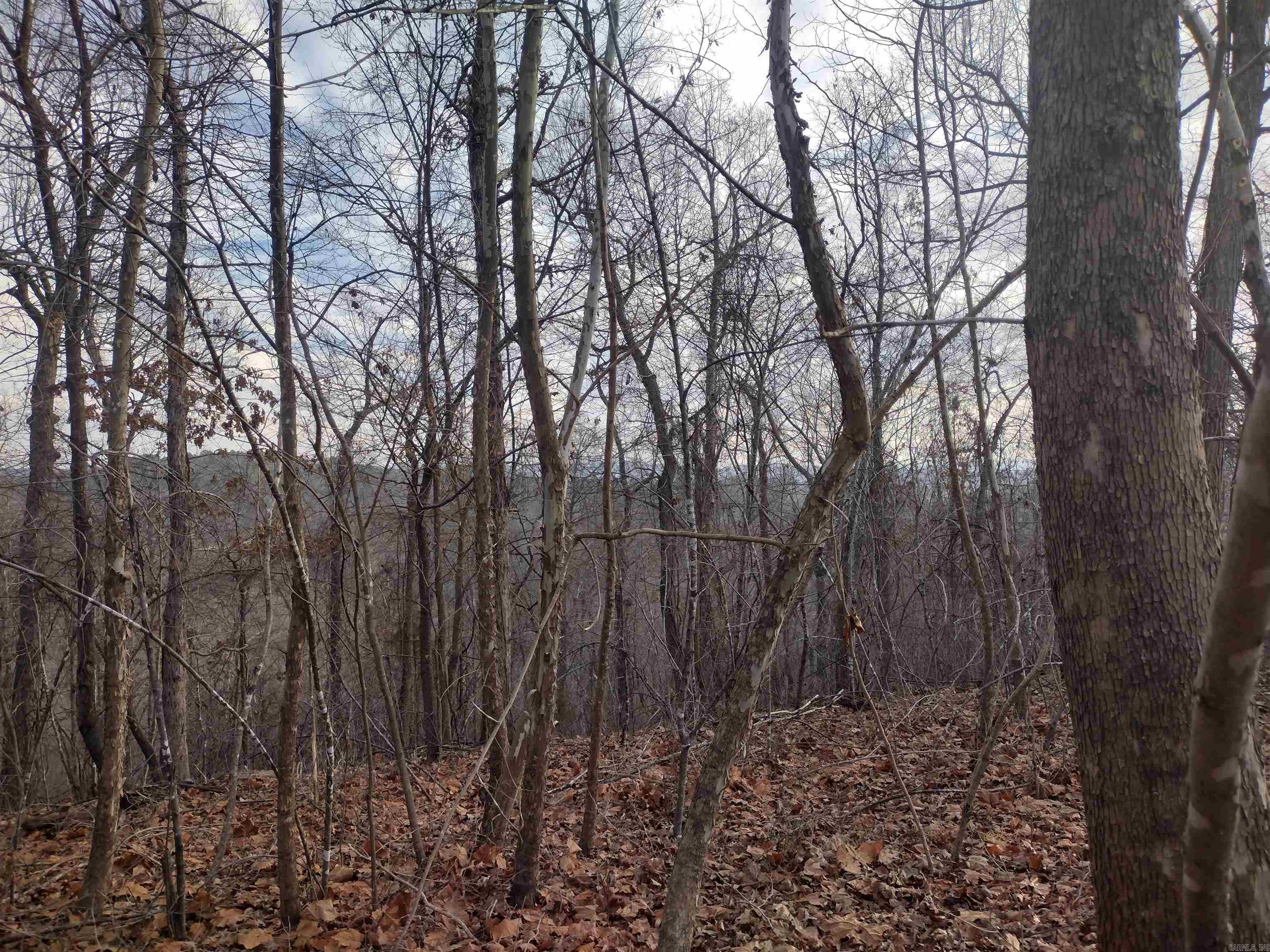 0 Geier RD  Mountain View, AR