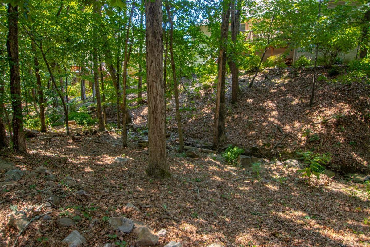 9 Picayune  Little Rock, AR