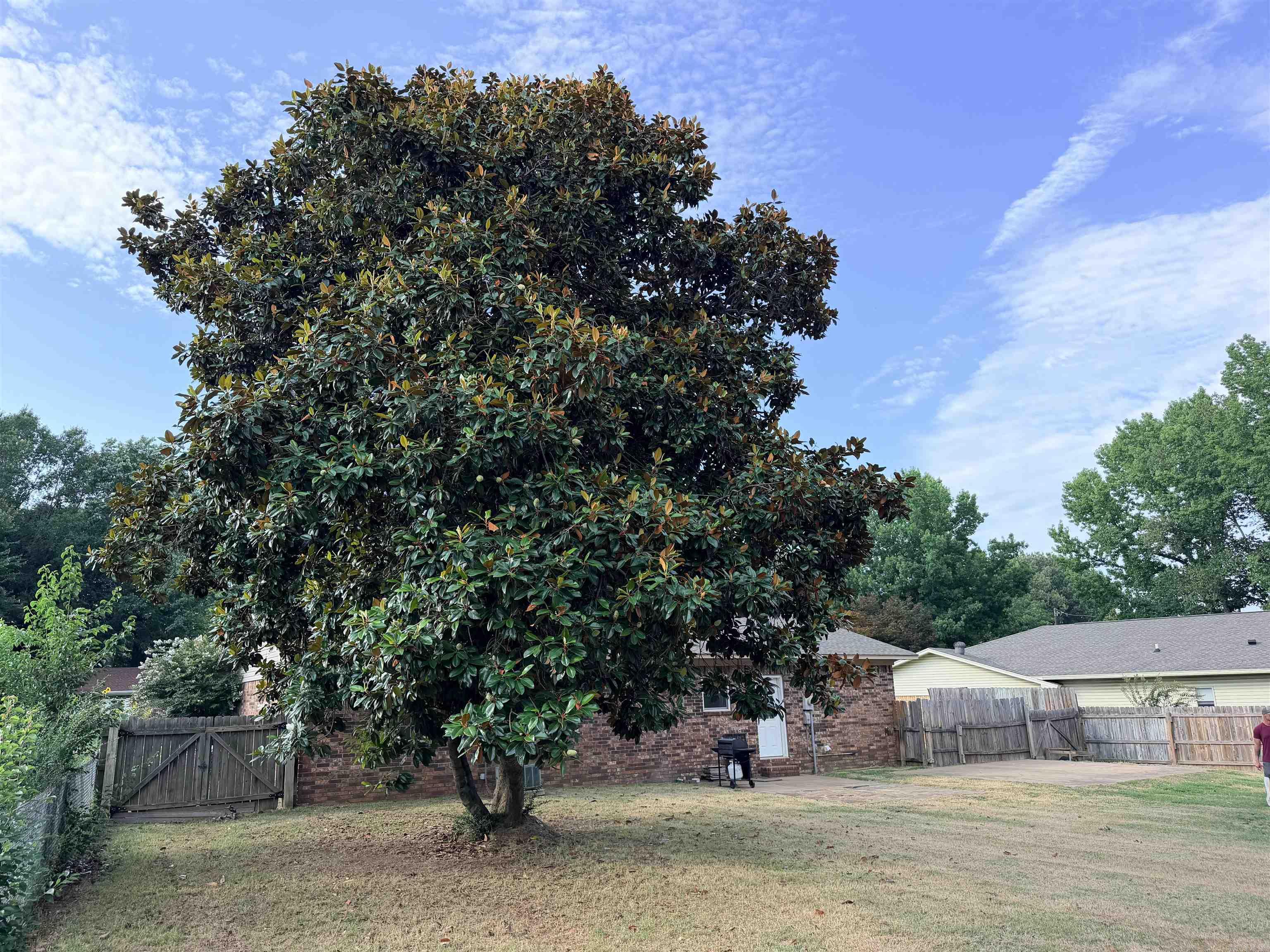 21 Saint John  Cabot, AR