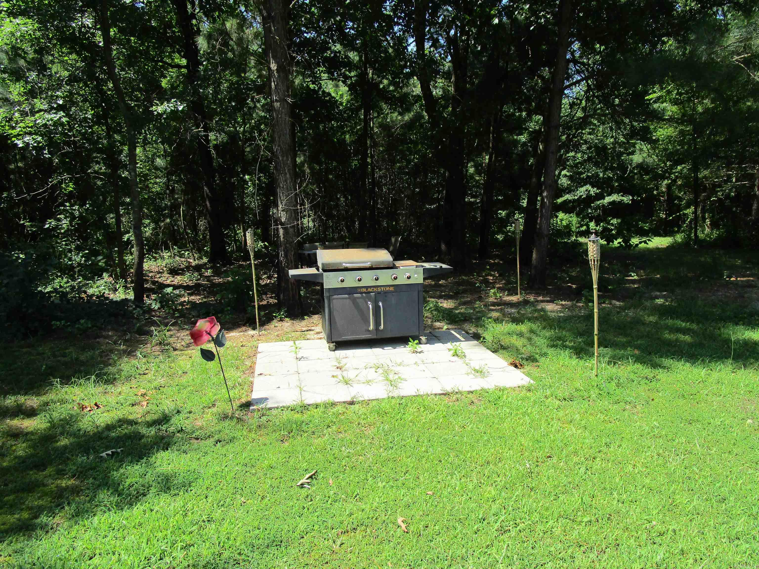 257 Cedar Hill  Umpire, AR
