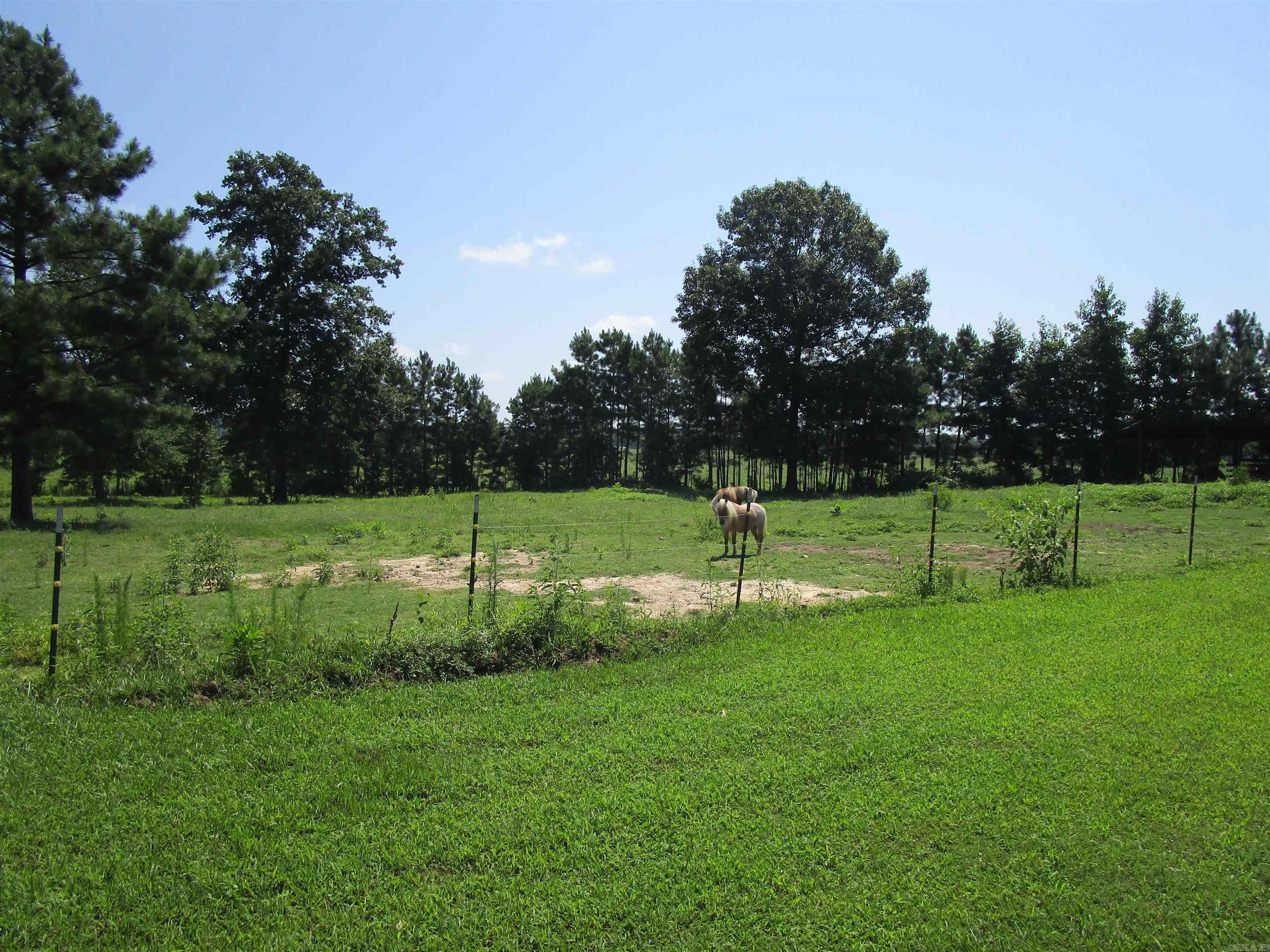 257 Cedar Hill  Umpire, AR