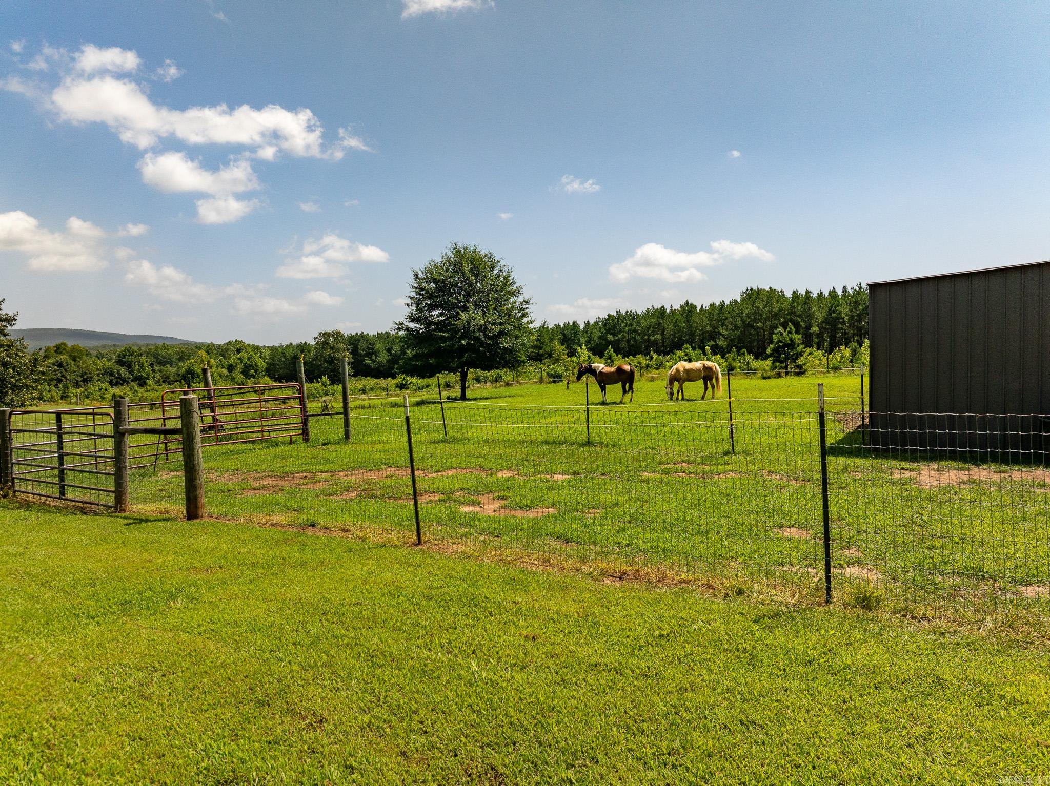 336 Quarry  Scotland, AR