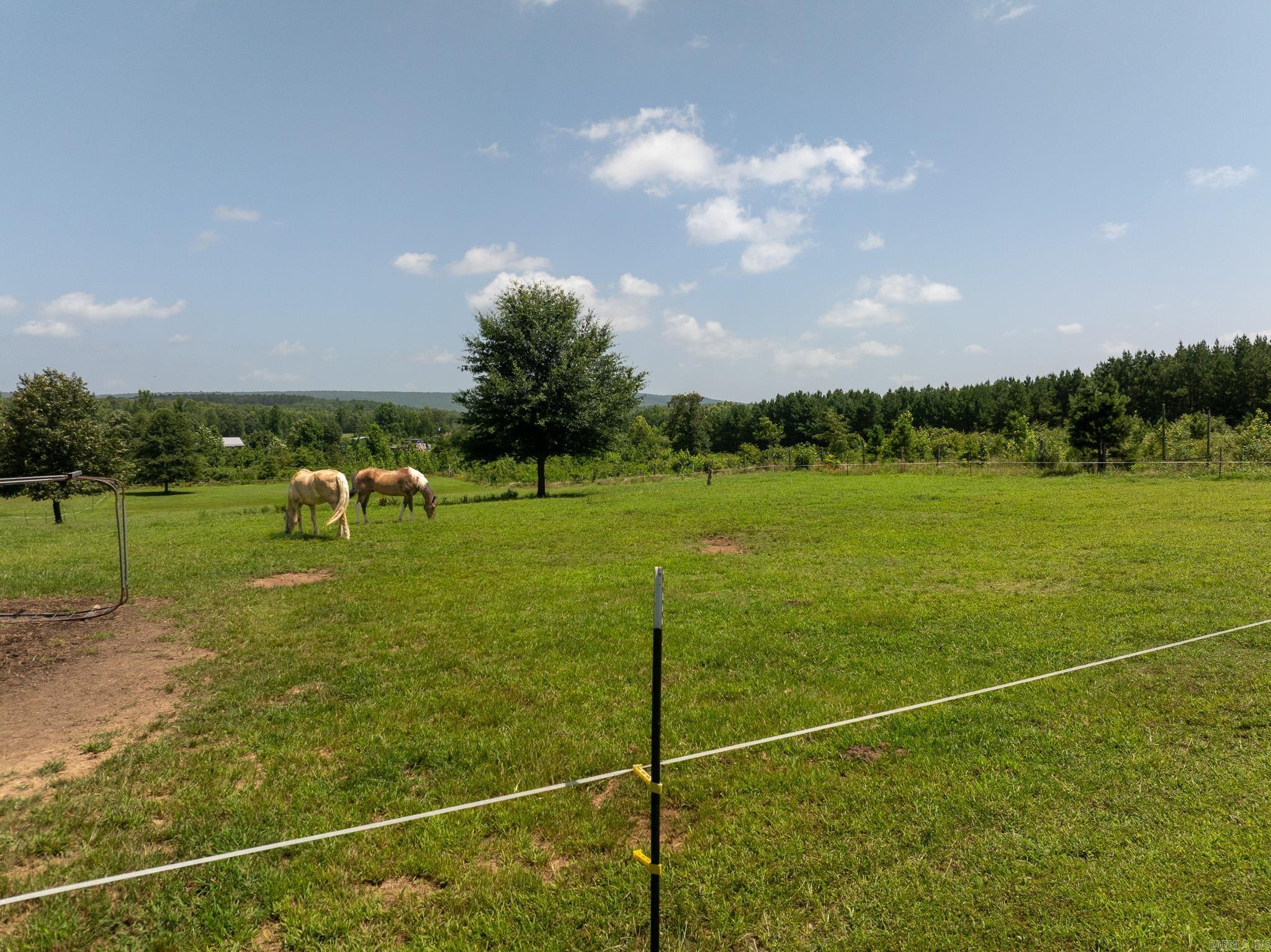 336 Quarry  Scotland, AR