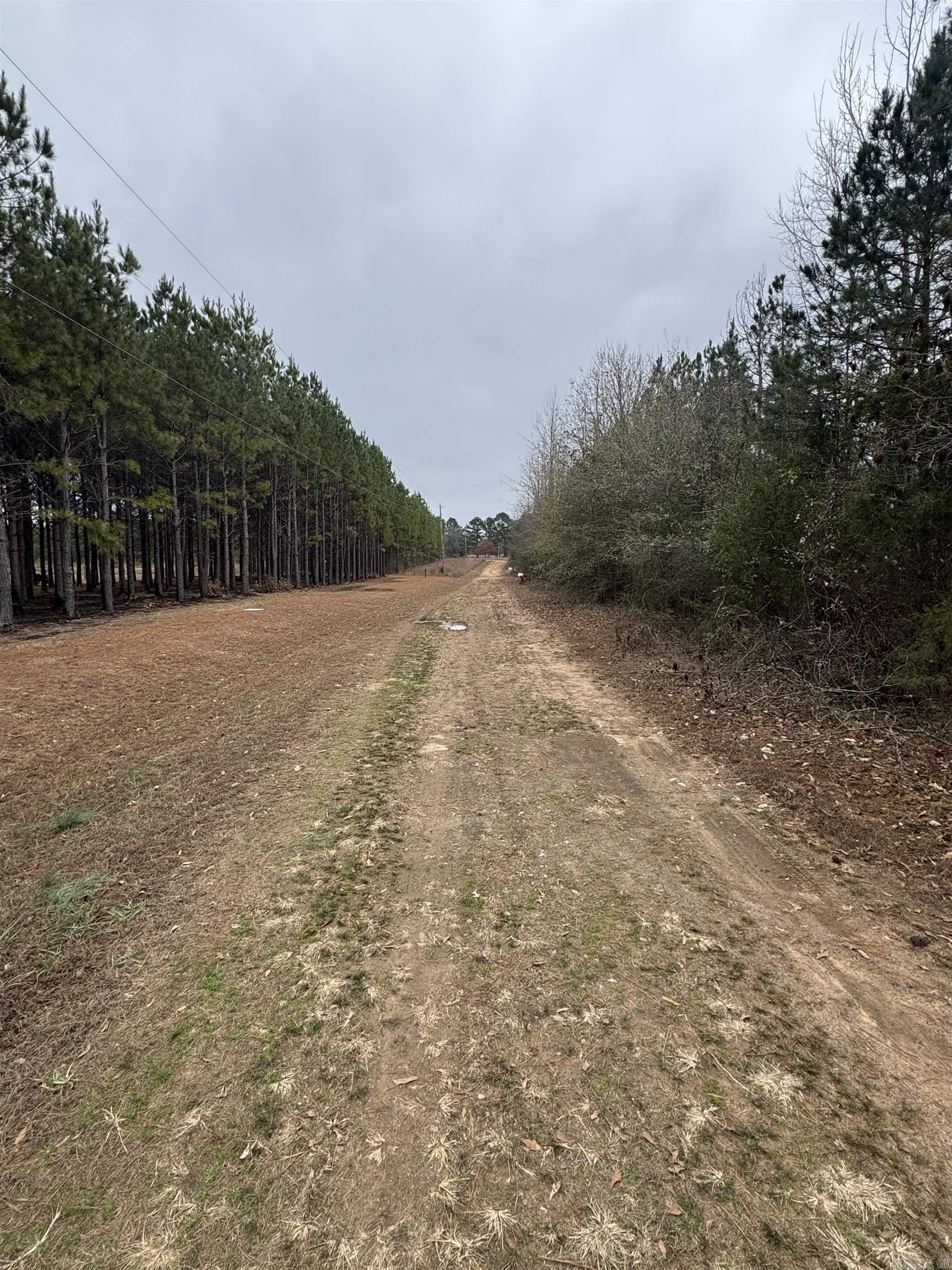 336 Quarry  Scotland, AR