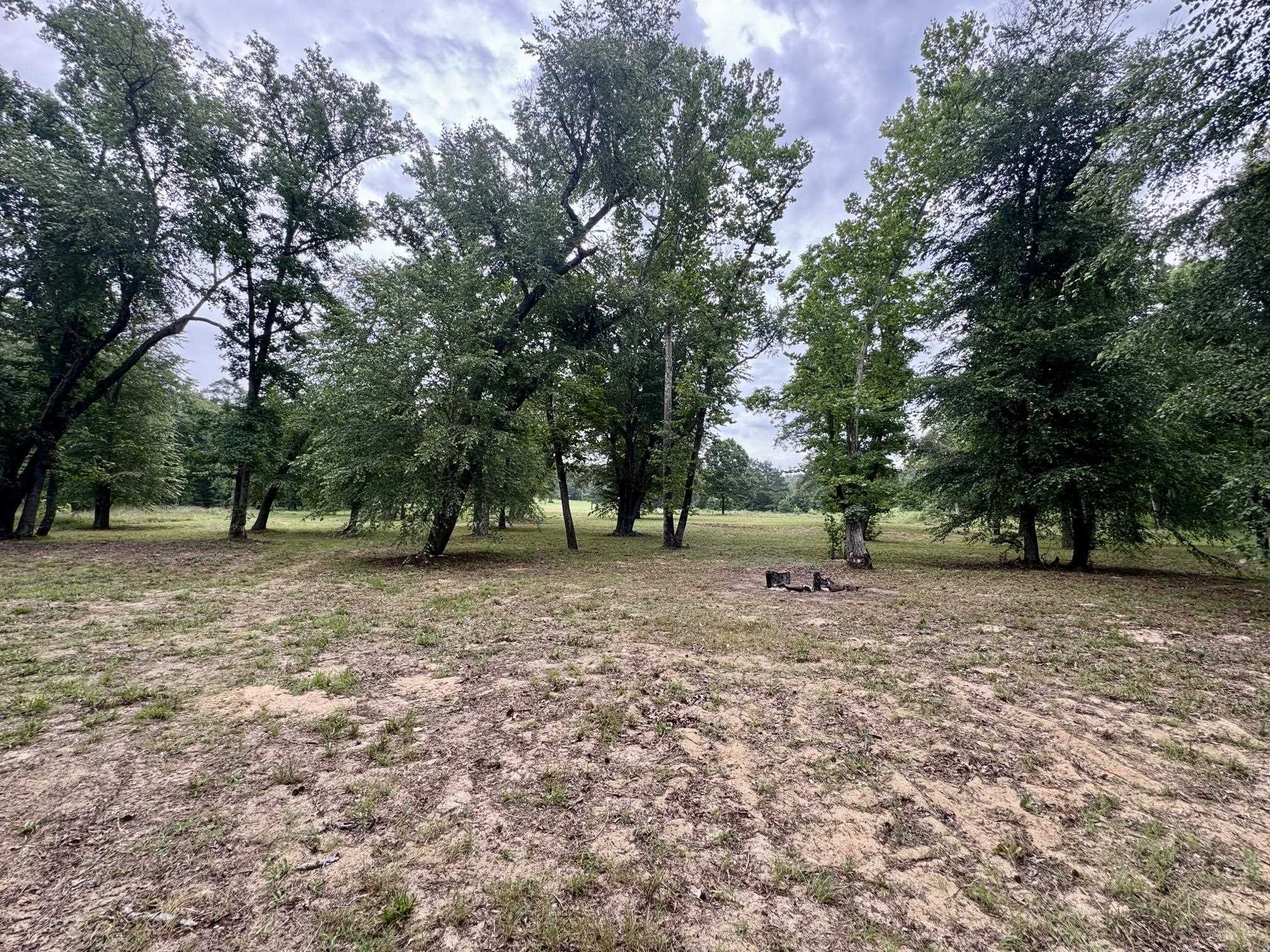 660 Apple Tree Lane  Melbourne, AR