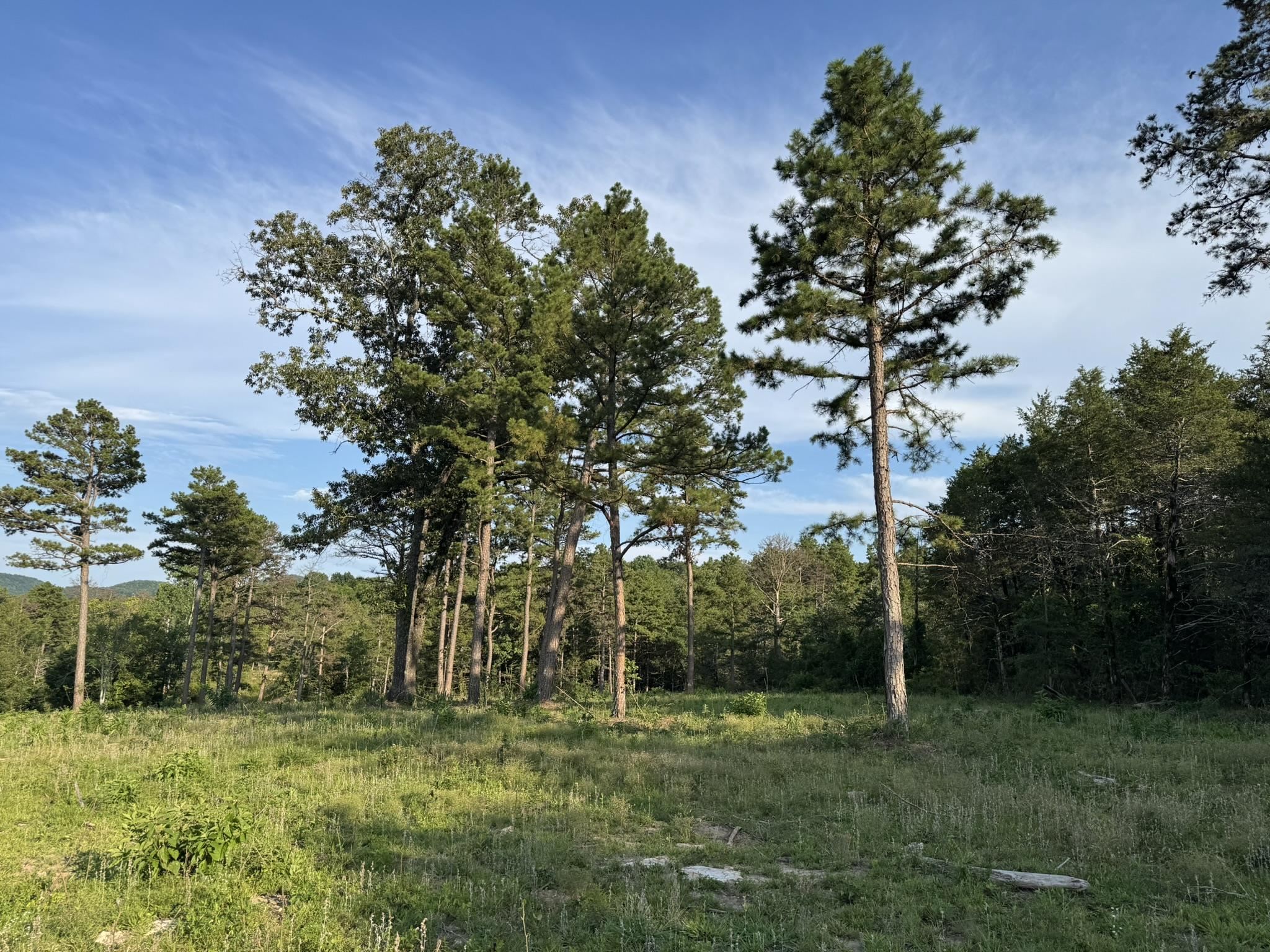 000 Ripplin Shoals Road  Melbourne, AR