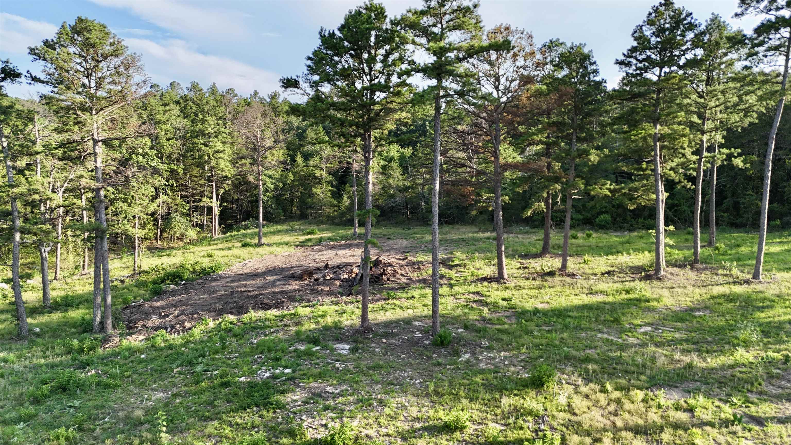 000 Ripplin Shoals Road  Melbourne, AR
