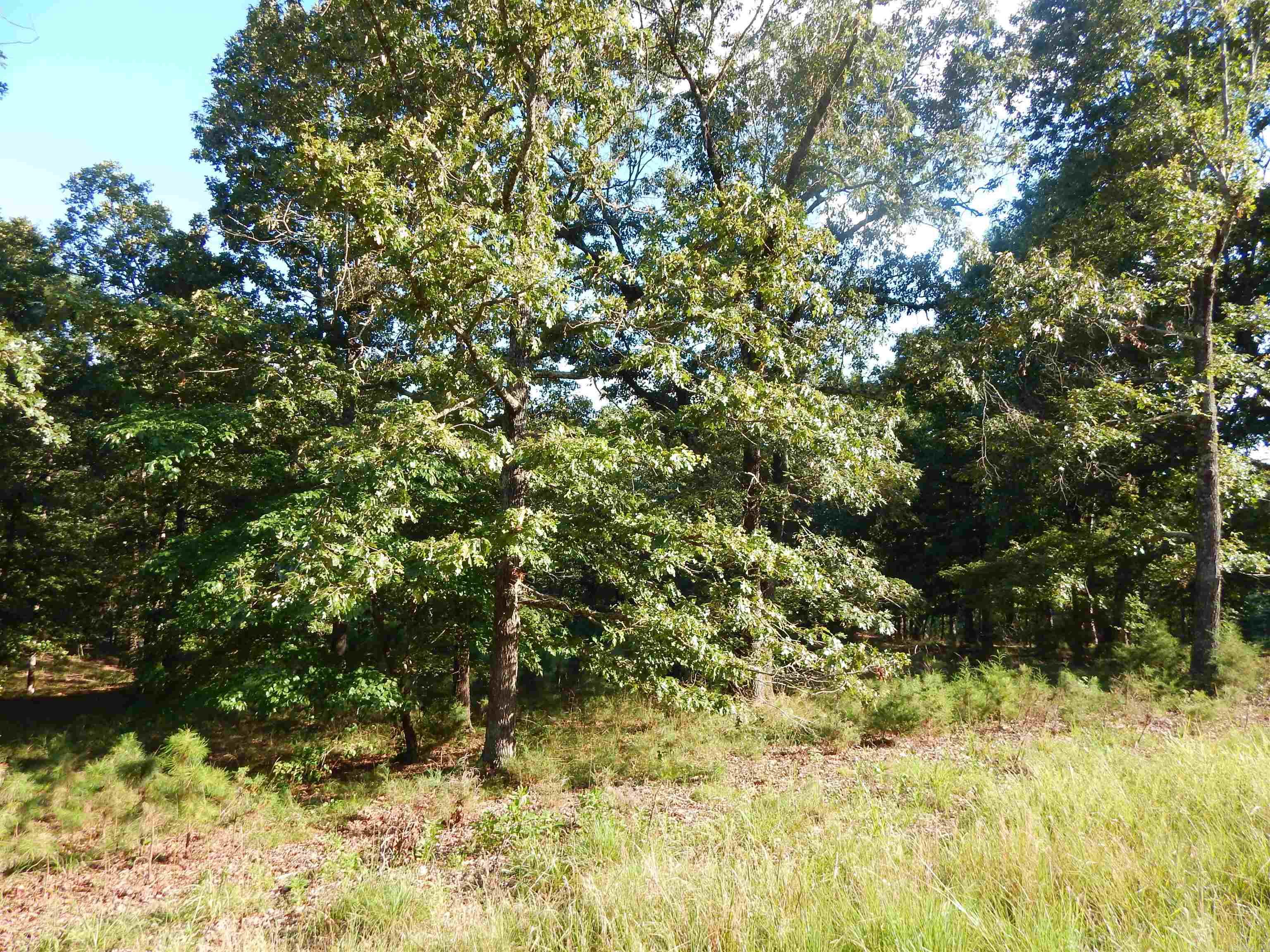 Lot 13 Quail Hollow  Heber Springs, AR