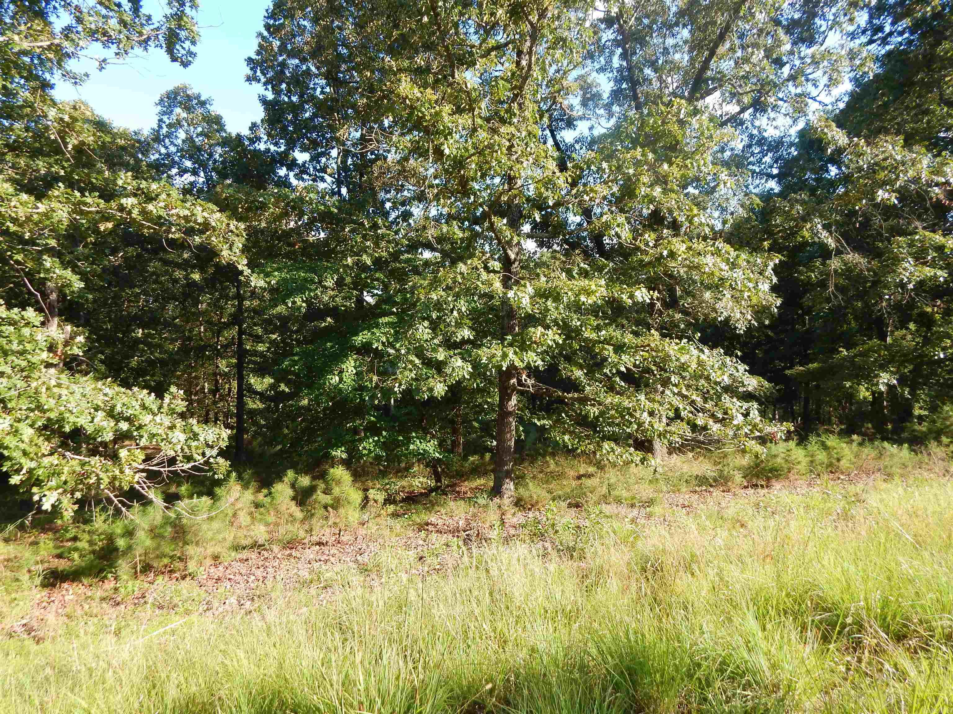 Lot 13 Quail Hollow  Heber Springs, AR